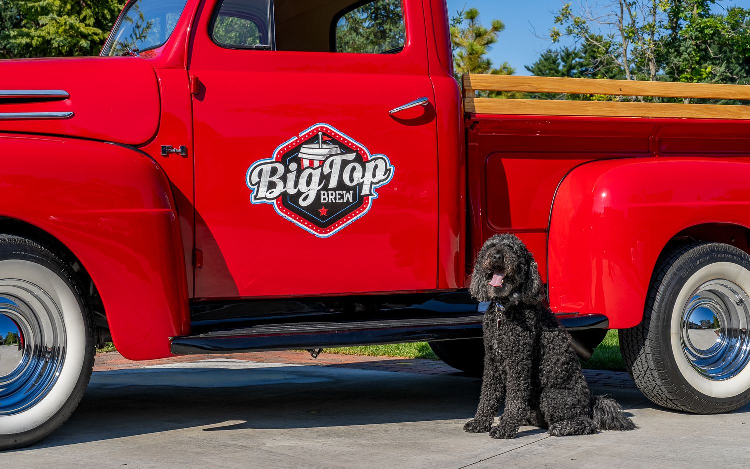 Black curly-haired dog sitting beside a vintage red Big Top Brew truck in outdoor setting.