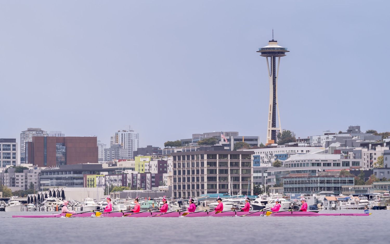 Sailing regatta near Seattle waterfront with Space Needle backdrop on a cloudy day.