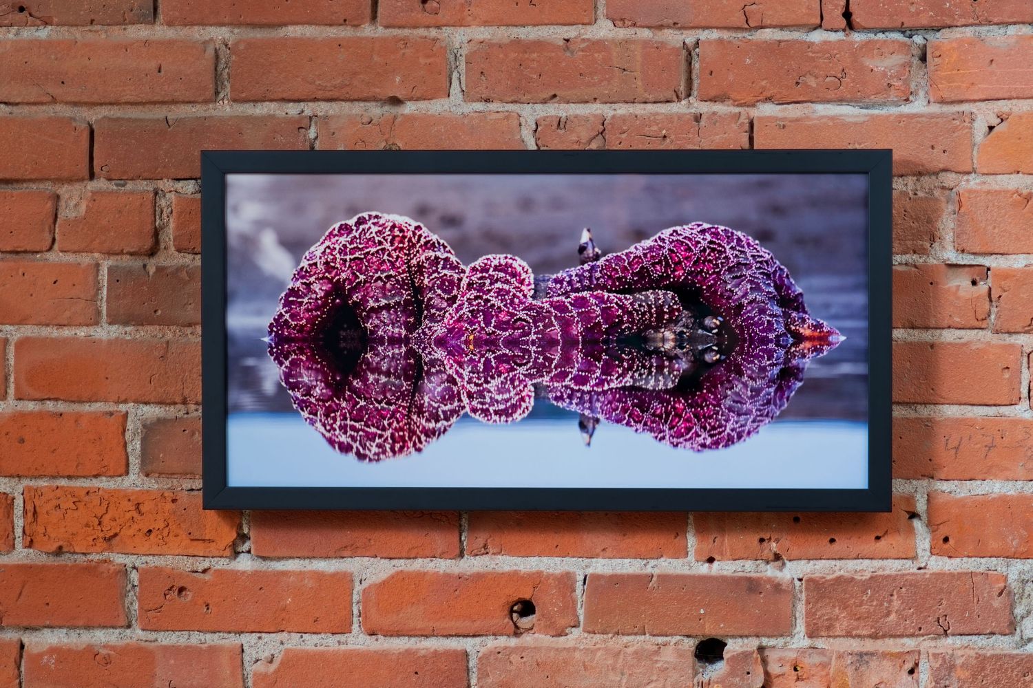 Framed abstract floral art print with mirrored purple flowers displayed on a rustic red brick wall.