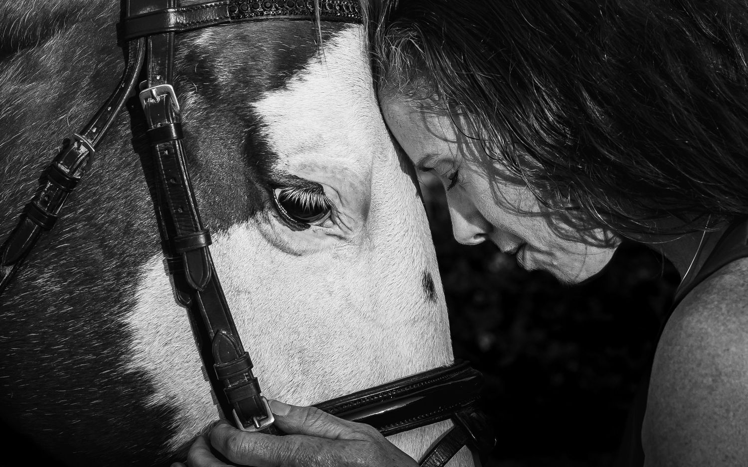 Eighth Square Studio image reveal experience — pet photography legacy session delivery Seattle