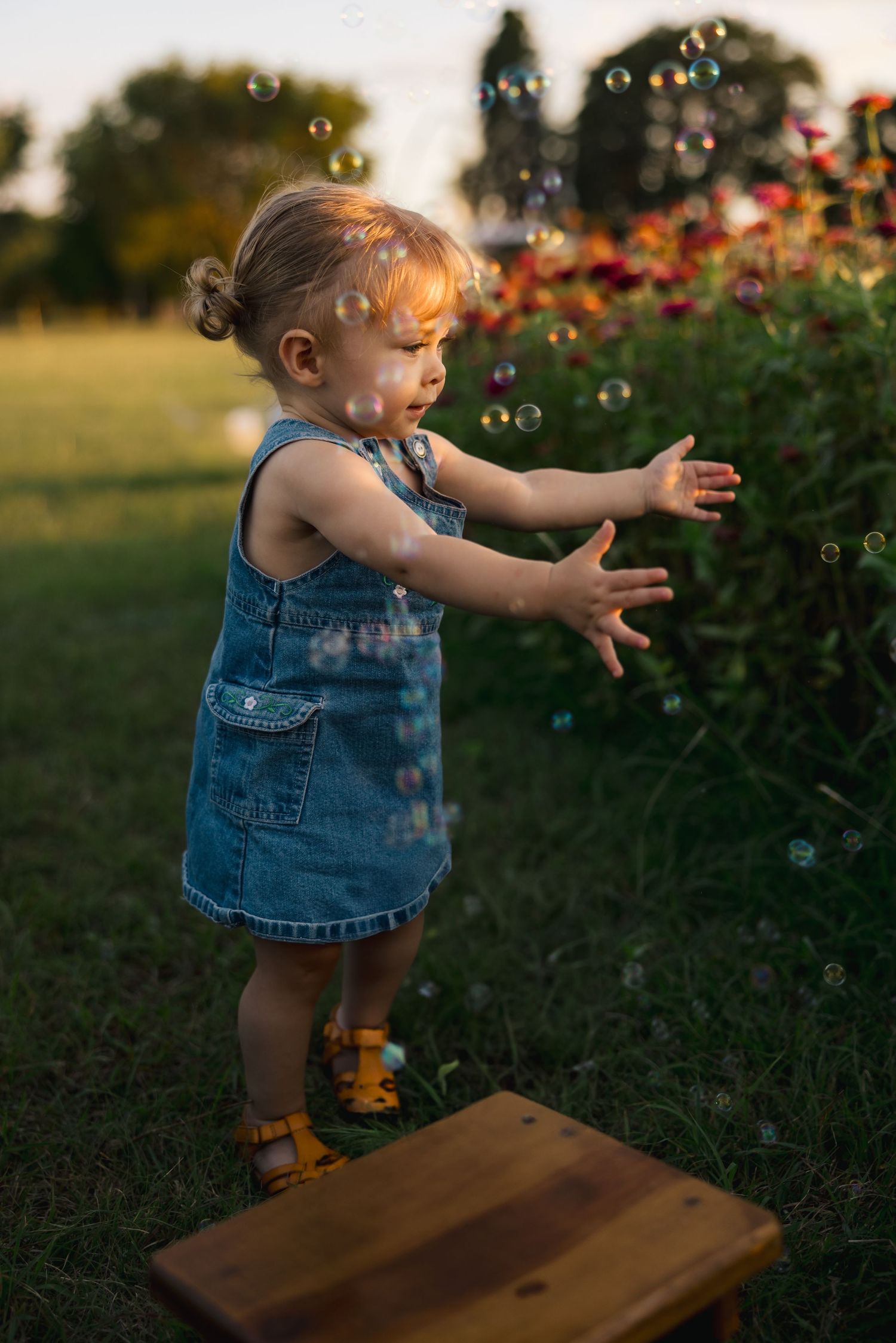 Young child in denim overalls plays with bubbles in garden during golden hour.