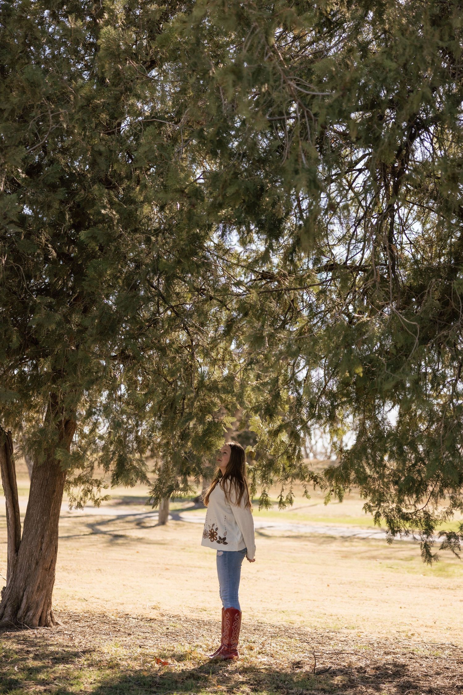 Person walking under large trees in a sunlit natural setting.
