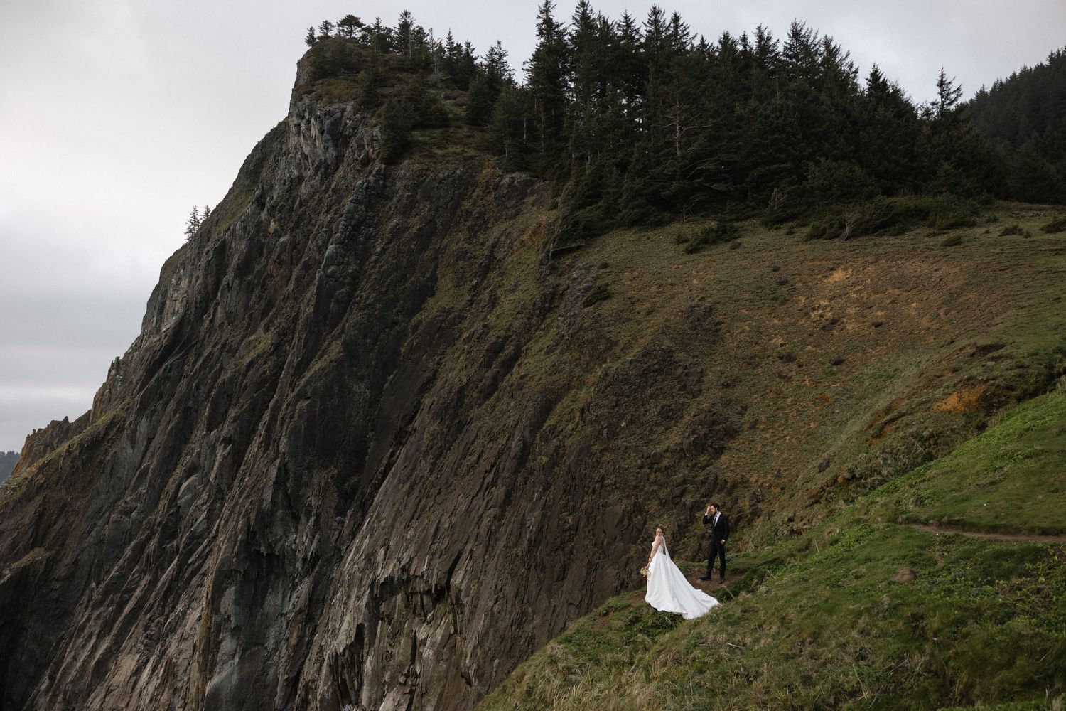 Dramatic coastal cliffs with evergreen trees against cloudy mountain landscape.