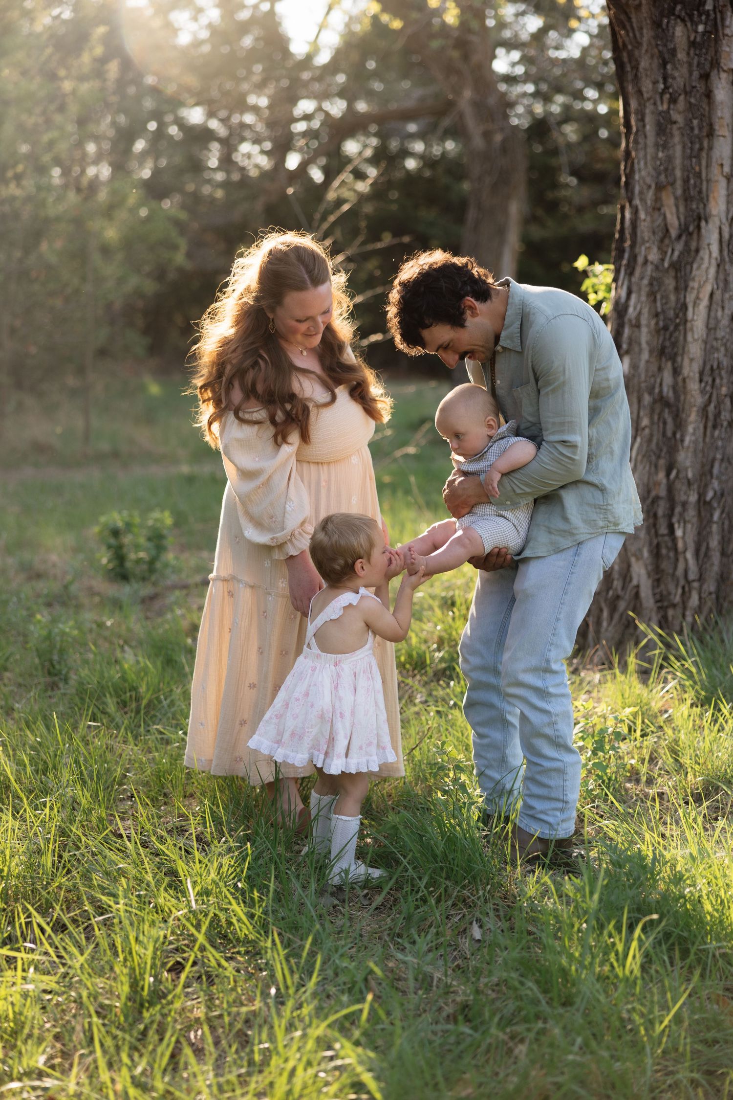 Family of four enjoying golden hour outdoors, parents doting on baby and toddler near a tree in a sunlit meadow.