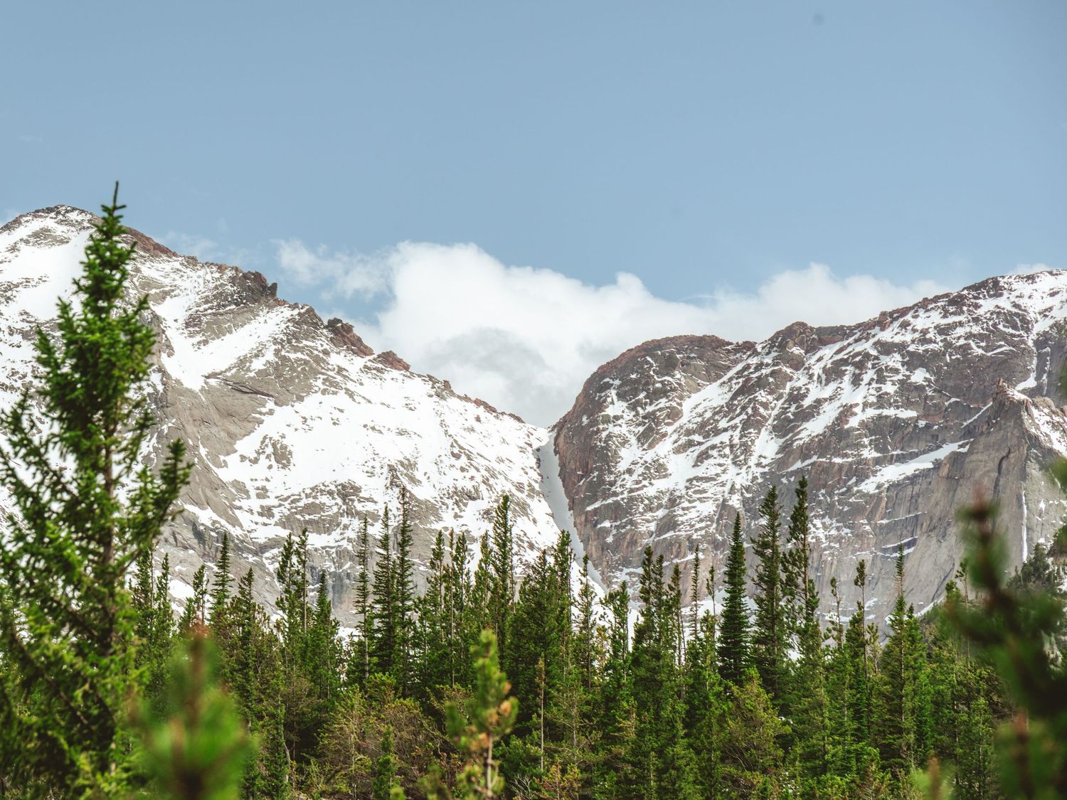 Snow-capped rocky mountain peaks with lush green pine trees in the foreground under blue sky.