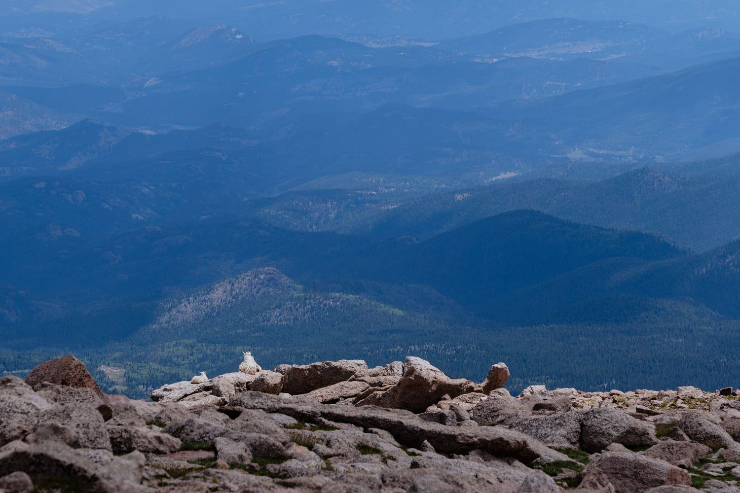 Panoramic view of forested mountain valleys seen from a rocky alpine summit.