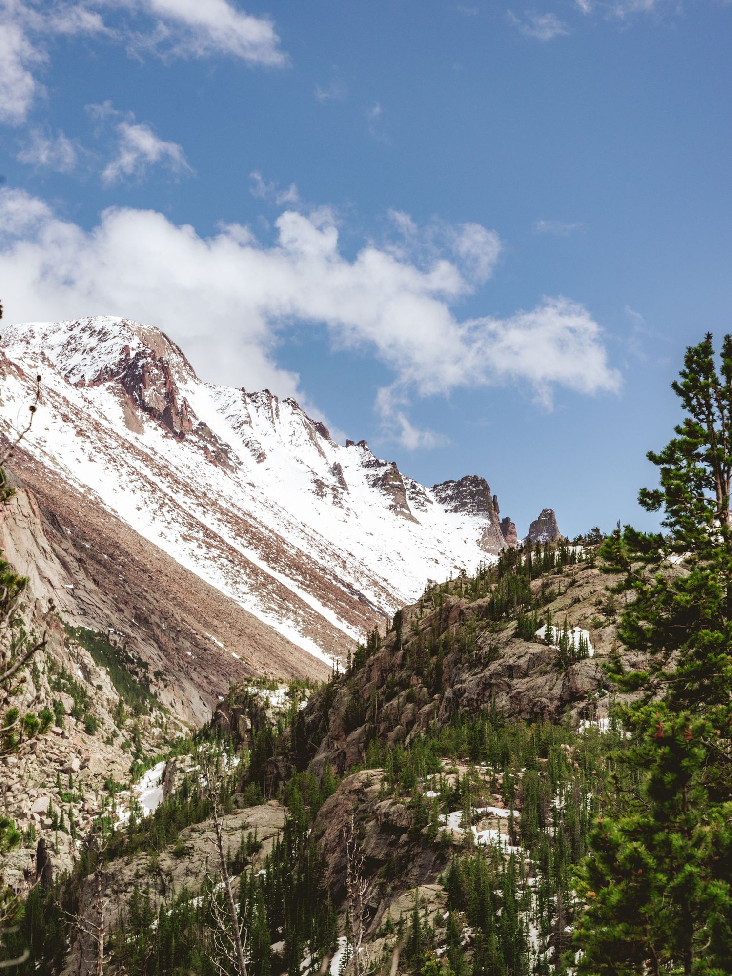 Snow-capped Rocky Mountain peaks rise above pine tree forests under a partly cloudy blue sky.