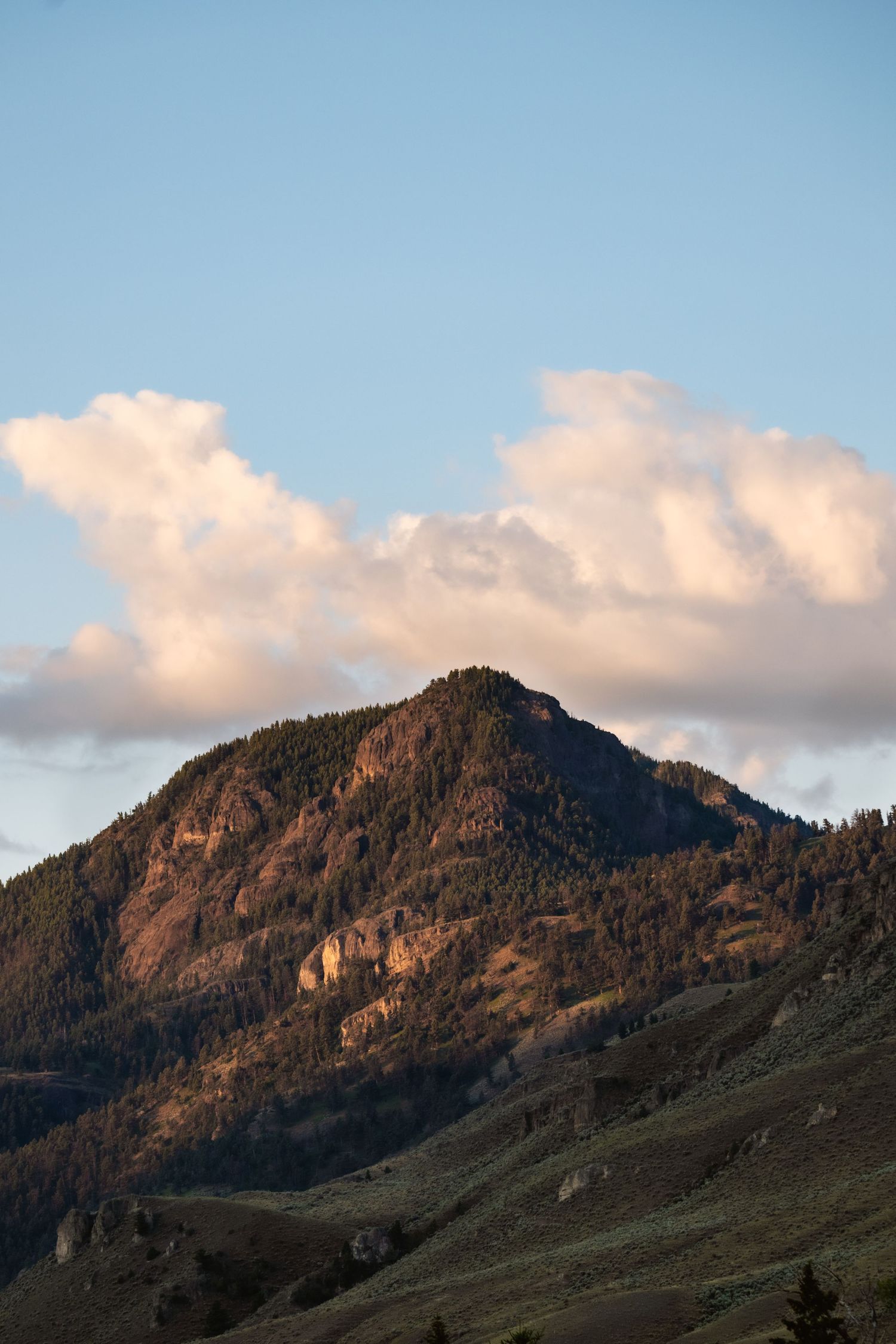 A rocky mountain peak covered with evergreen trees glows in warm golden light beneath a partly cloudy blue sky.