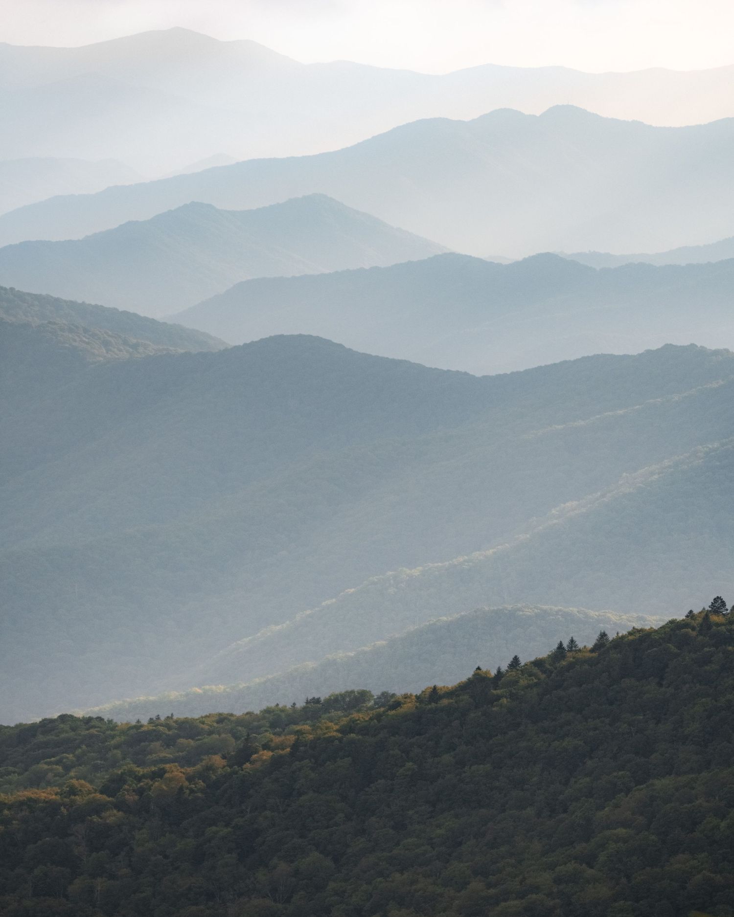 Layered misty mountain ranges with lush green forested hills receding into a hazy blue horizon.
