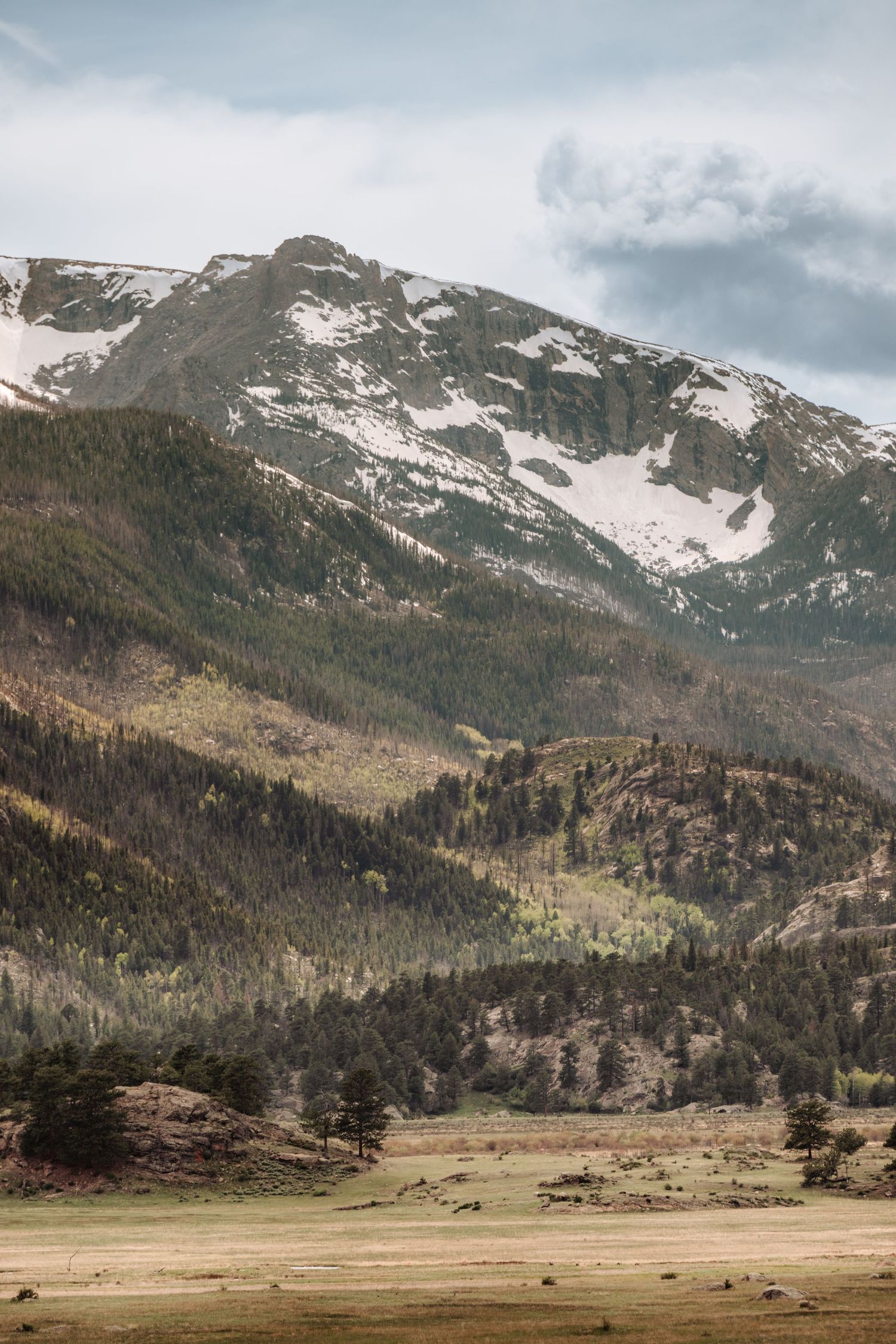 Snow-capped Rocky Mountain peaks with dense pine forests and open meadow under cloudy sky.