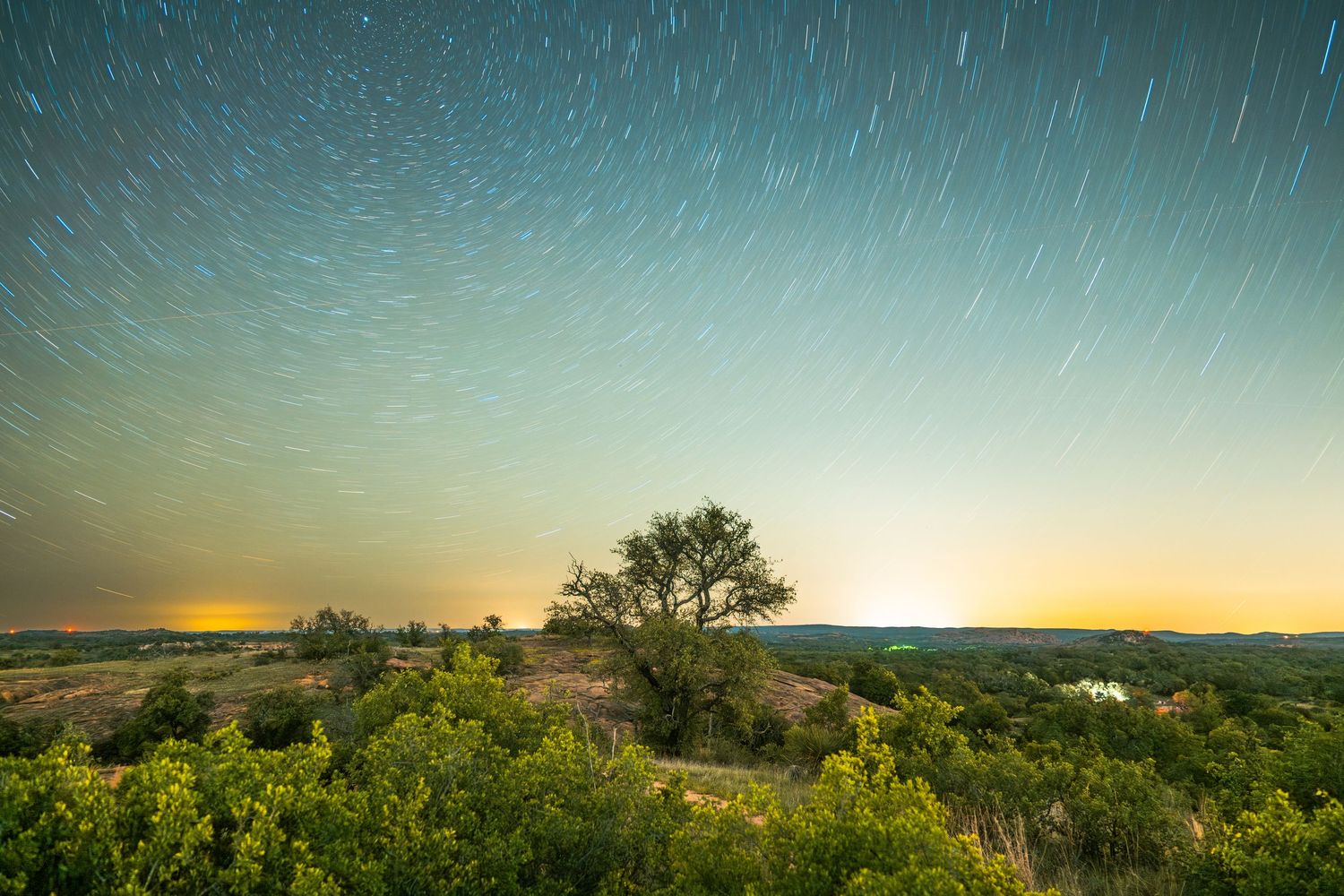 Wide landscape view of star trails swirling over a lone tree and rolling green hills at dusk.