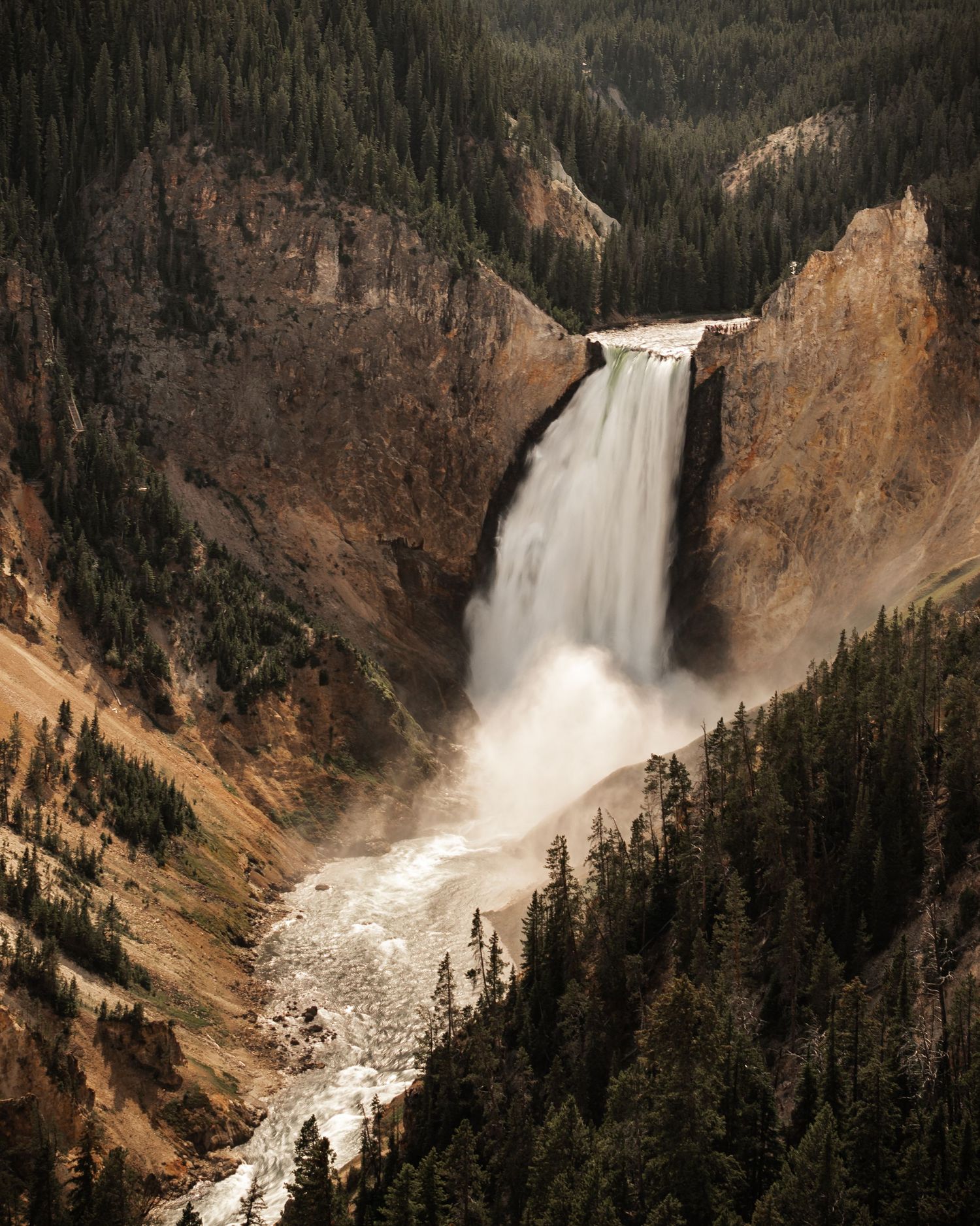 Majestic waterfall cascades into a rocky canyon surrounded by dense evergreen forests in Yellowstone National Park.