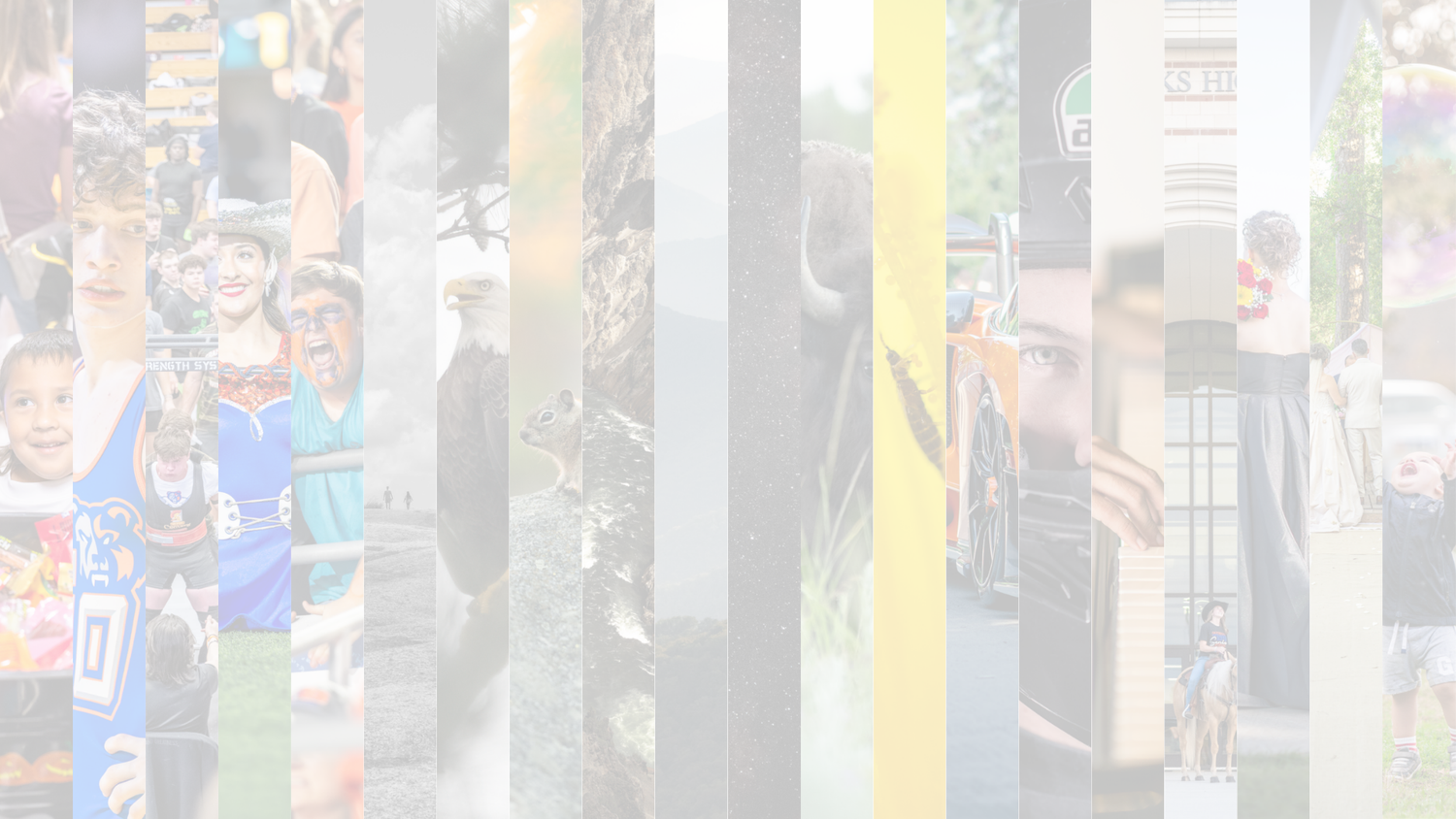Faded collage of diverse photography strips featuring people, wildlife, and outdoor scenes in muted tones.
