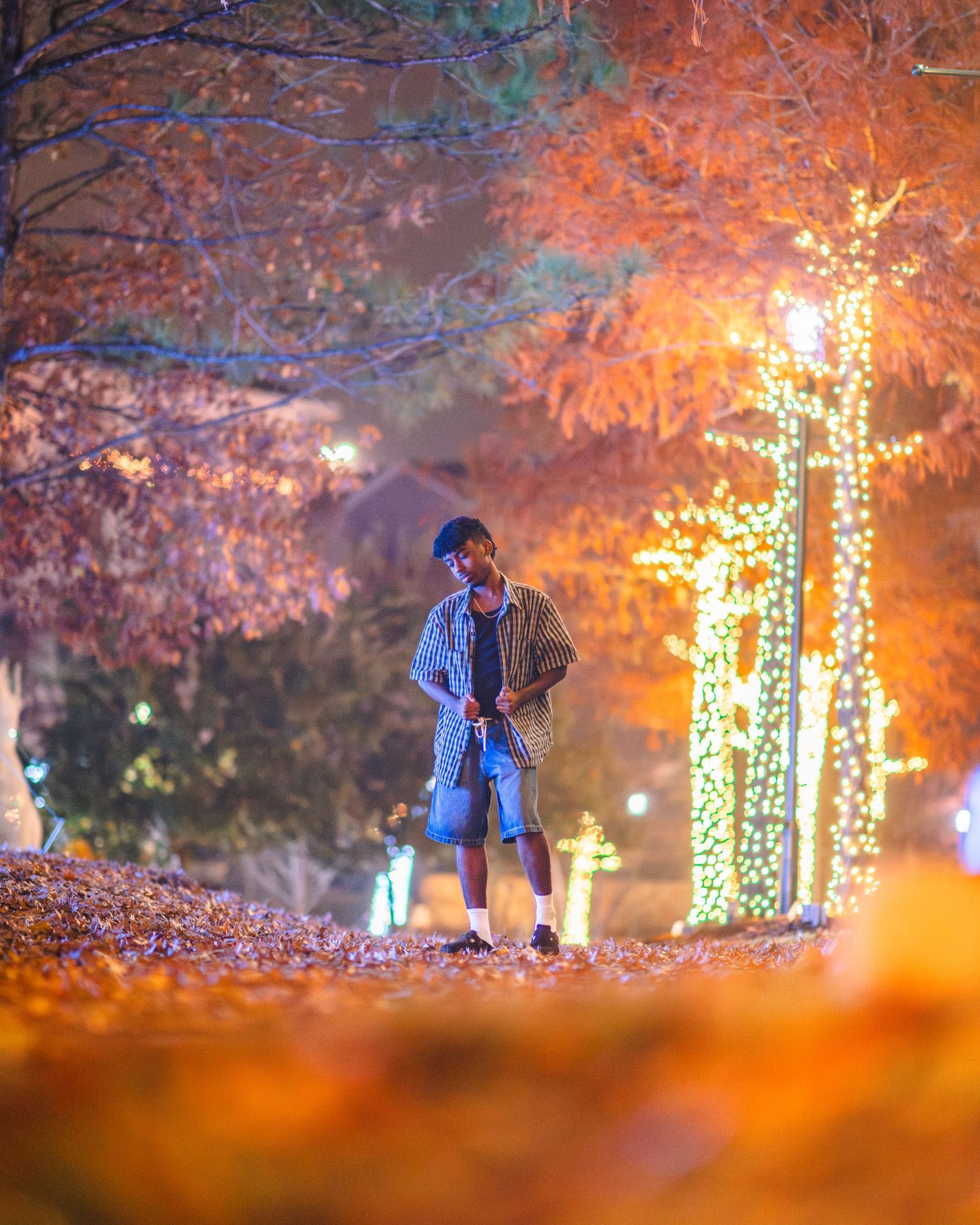 Man standing among autumn trees decorated with warm orange holiday lights at night.