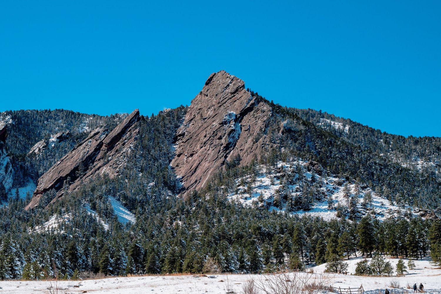 Snow-dusted Flatirons rock formations rise above pine forests under a vivid blue sky in Boulder, Colorado.
