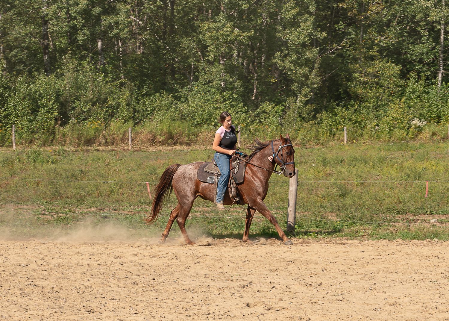Personne à cheval en nature lors d’une séance photo en Estrie