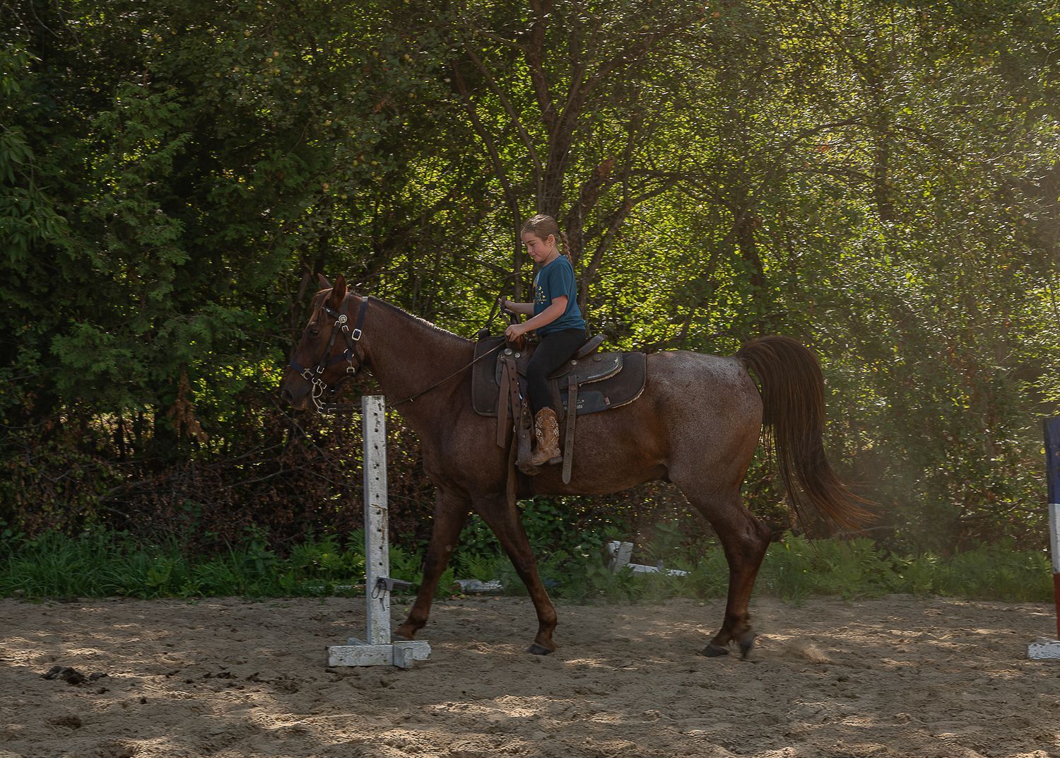 Enfant à cheval en nature lors d’une séance photo en Estrie