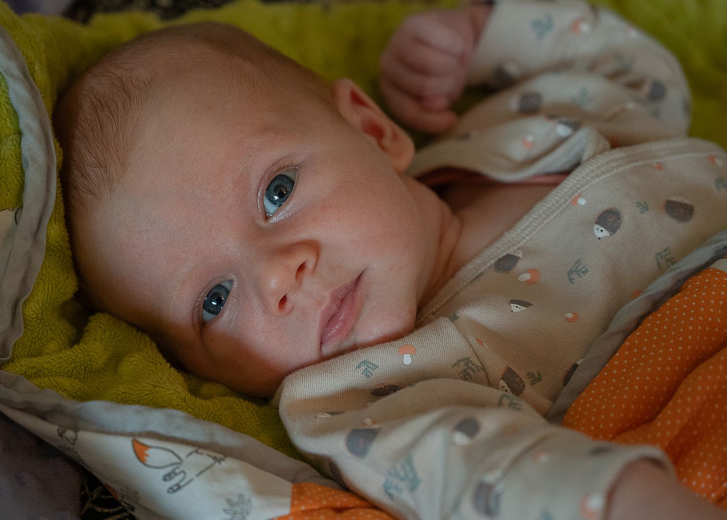 Portrait de bébé en lumière naturelle lors d’une séance photo en Estrie