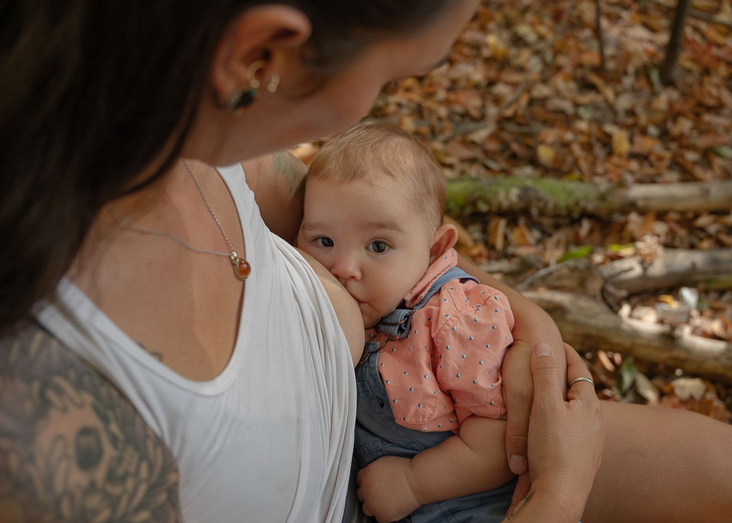 Bébé allaité par sa mère en nature lors d’une séance maternité en Estrie