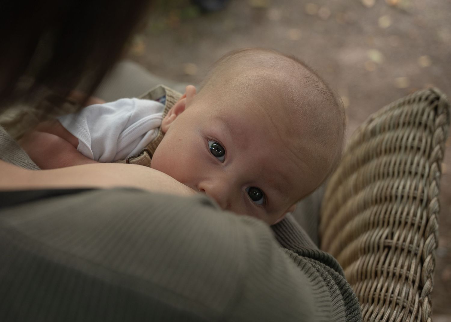 Bébé allaité en lumière naturelle lors d’une séance maternité en Estrie