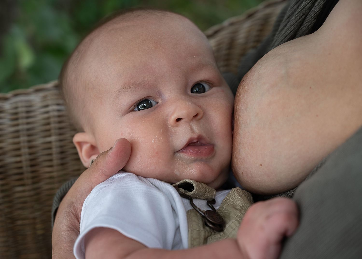 Bébé allaité par sa mère en nature lors d’un moment mère-enfant en Estrie
