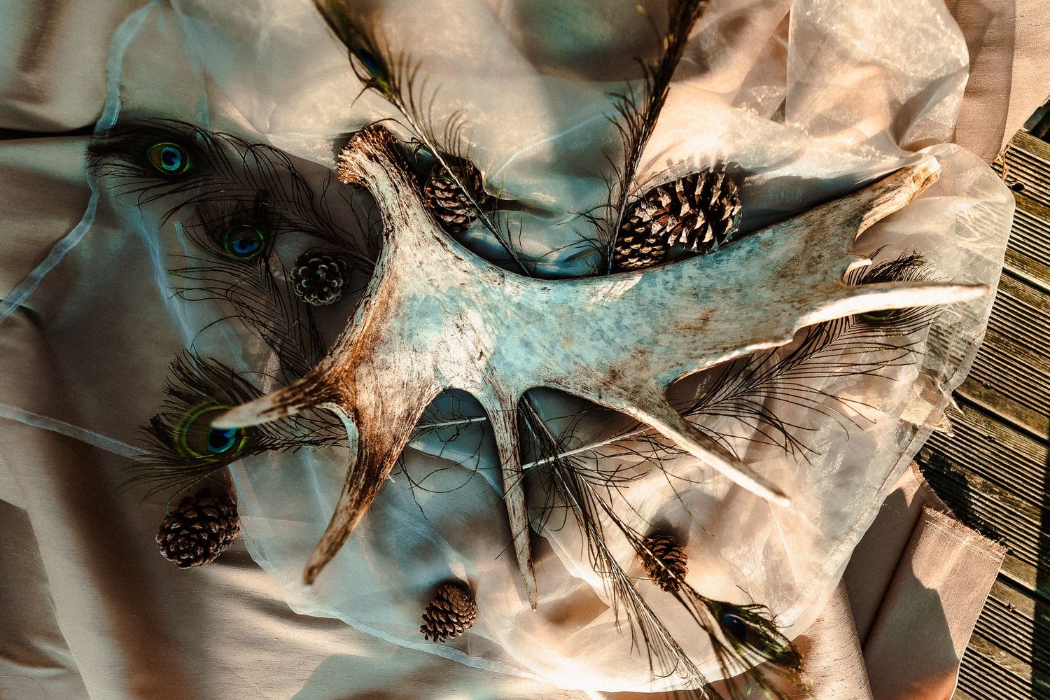 Détail artistique plumes et pommes de pin – Shooting groupe musical FAH – Thomas Denaveaut photographe Côte d'Opale