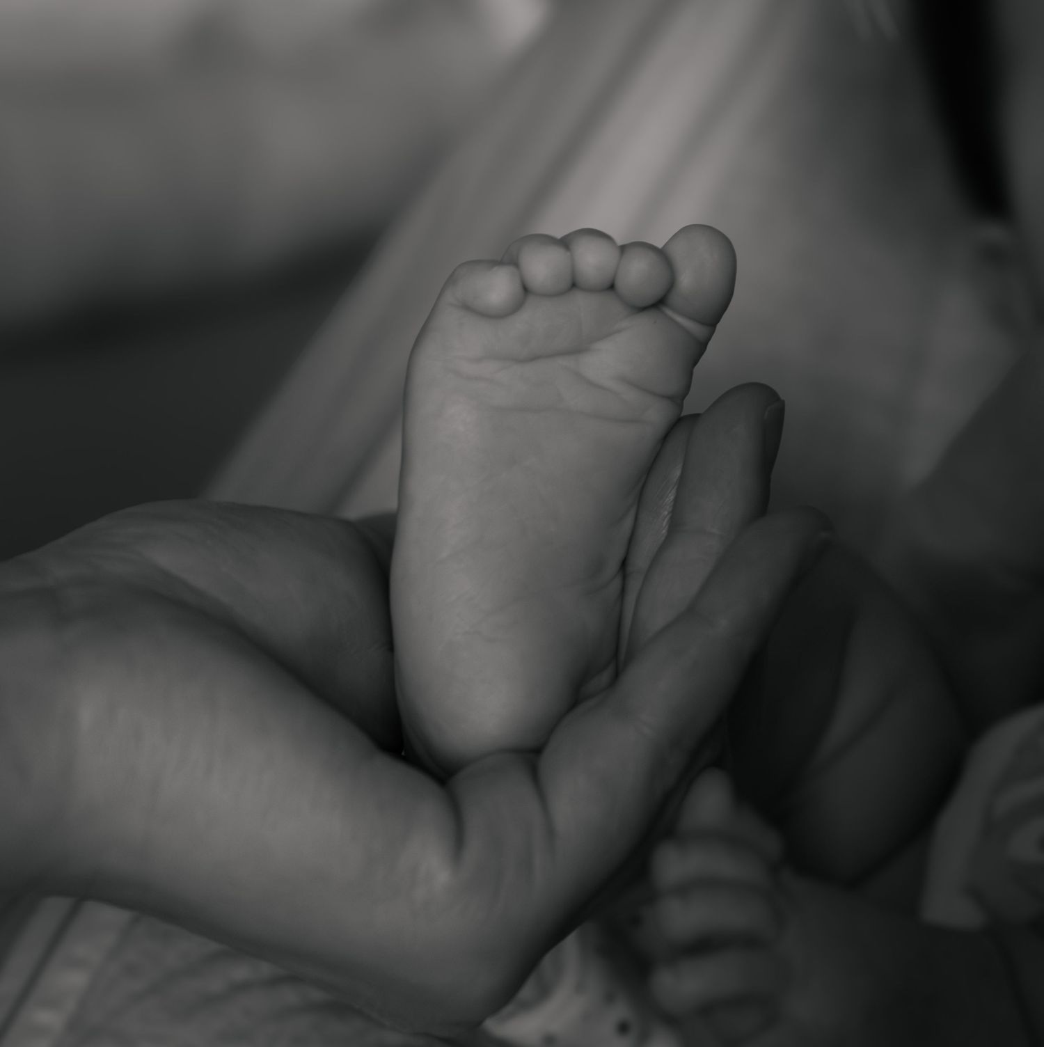 Jean Kuek Melbourne Newborn Photographer