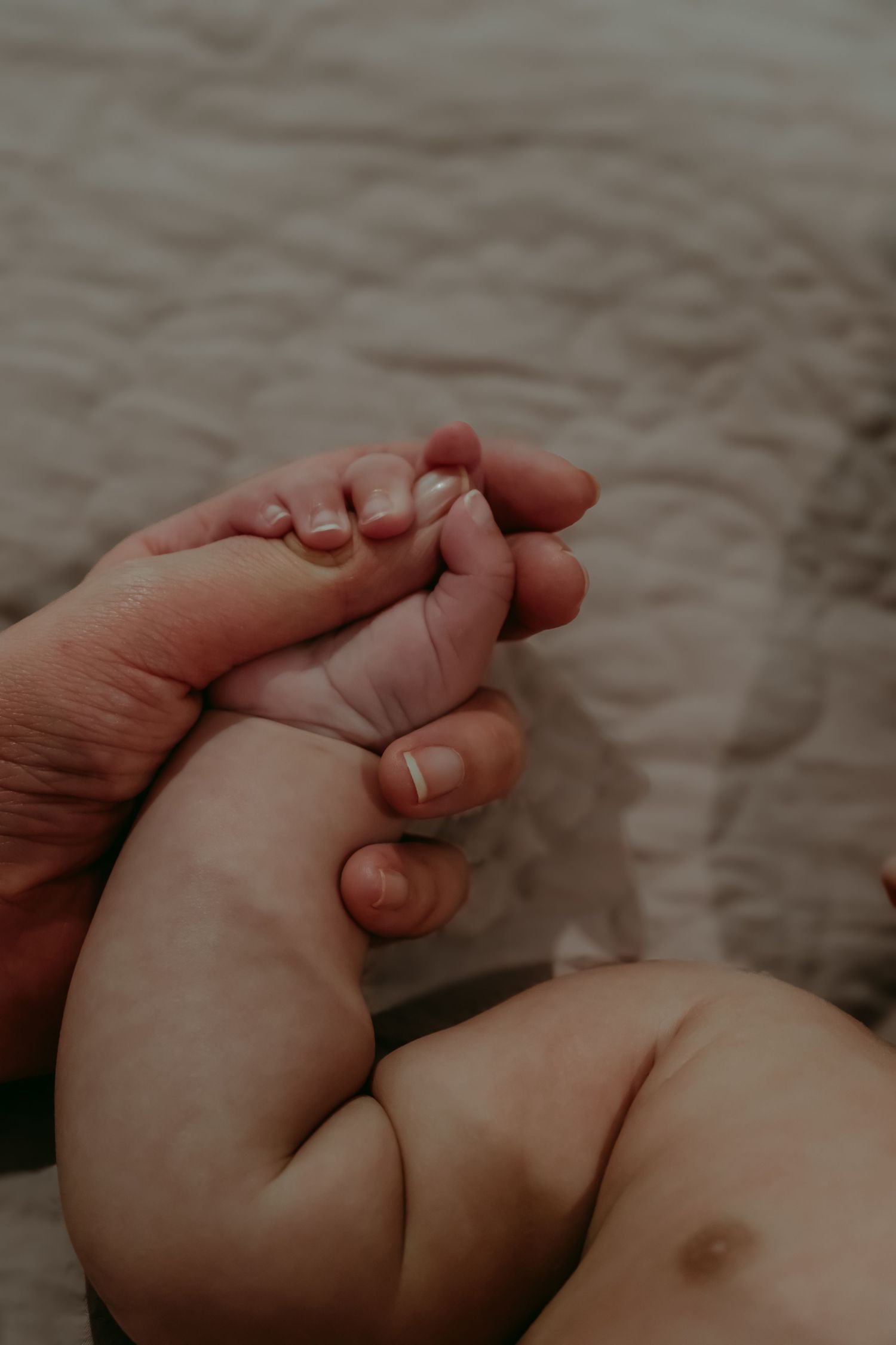 Jean Kuek Melbourne Newborn Photographer