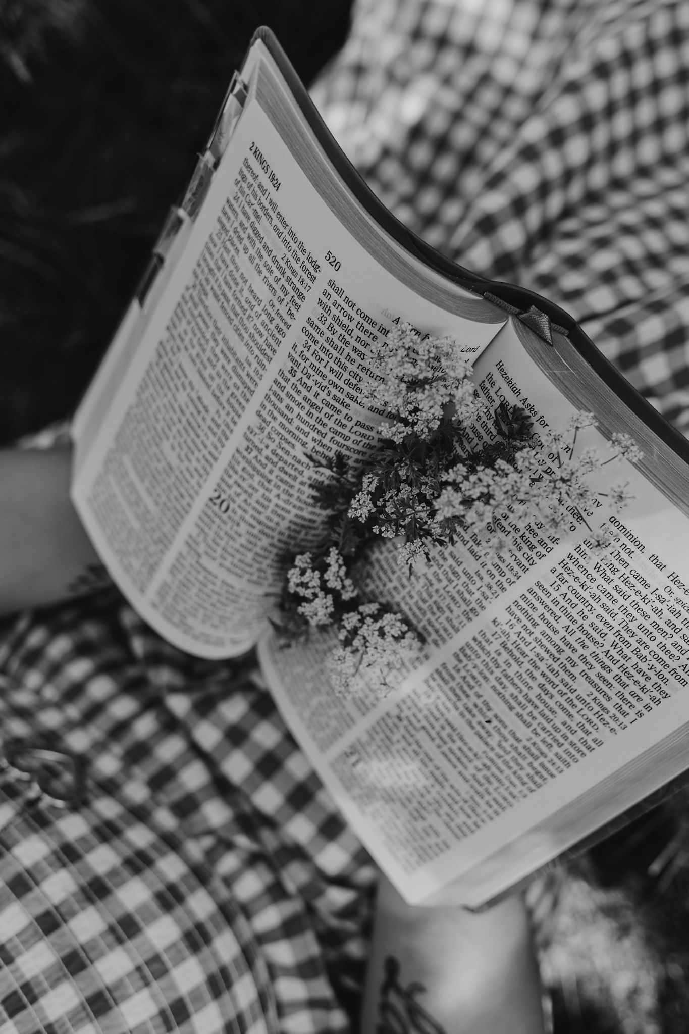 Black and white photo of person reading a Bible with delicate wildflowers pressed between the pages.