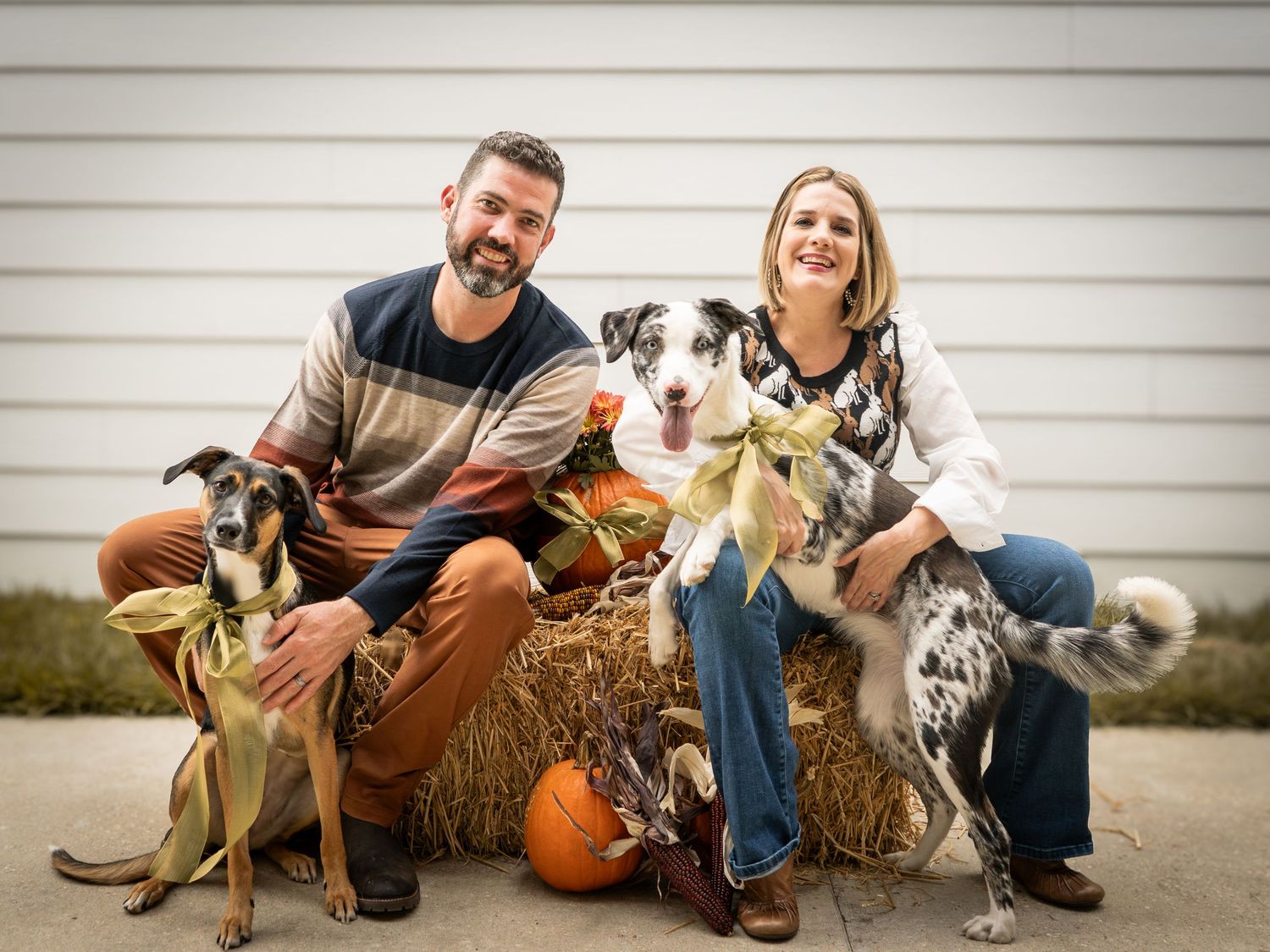 Family sits on porch with their collection of rescue dogs for a casual outdoor portrait.