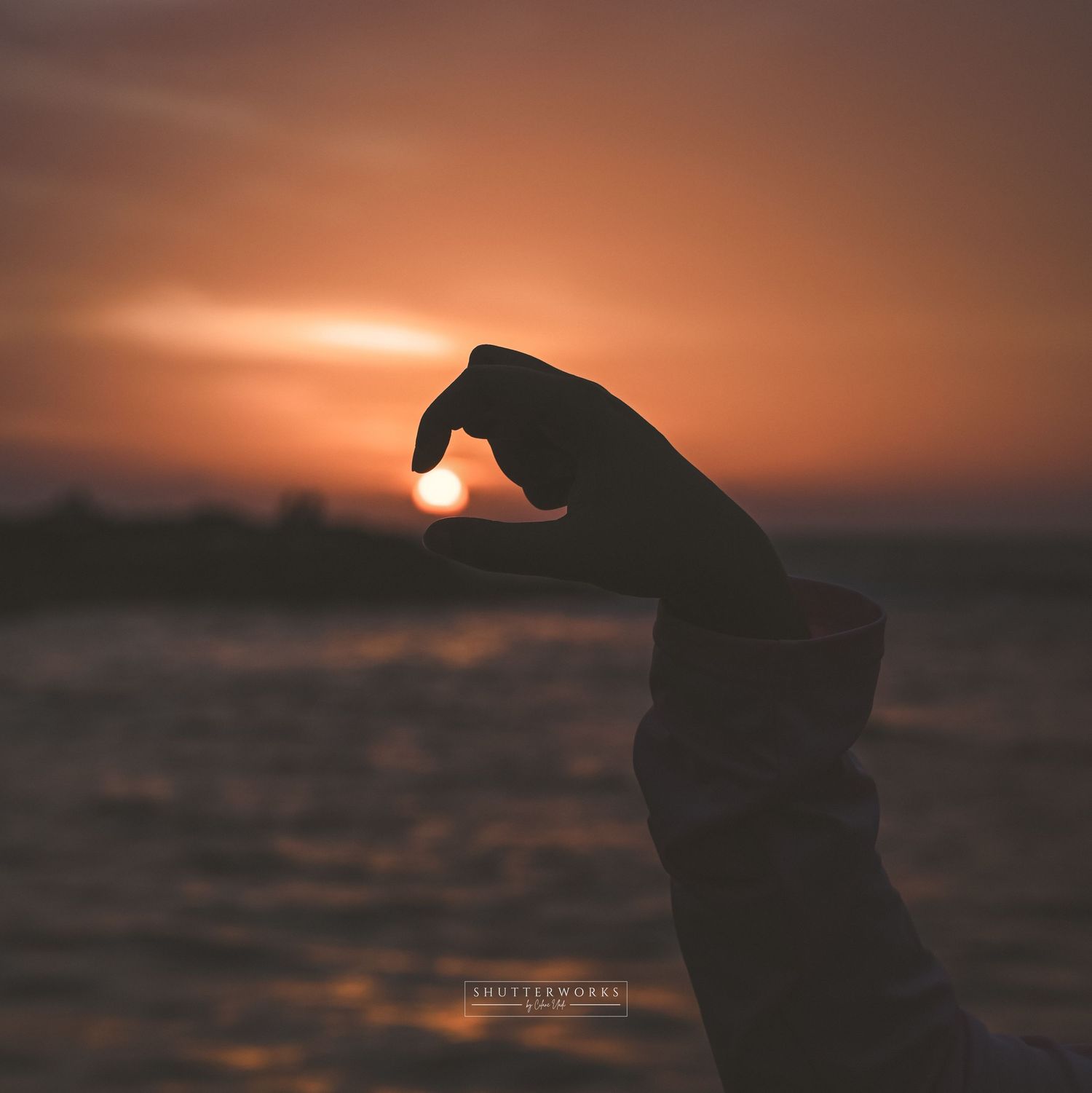 Silhouette on Sunset | Catching the Sun