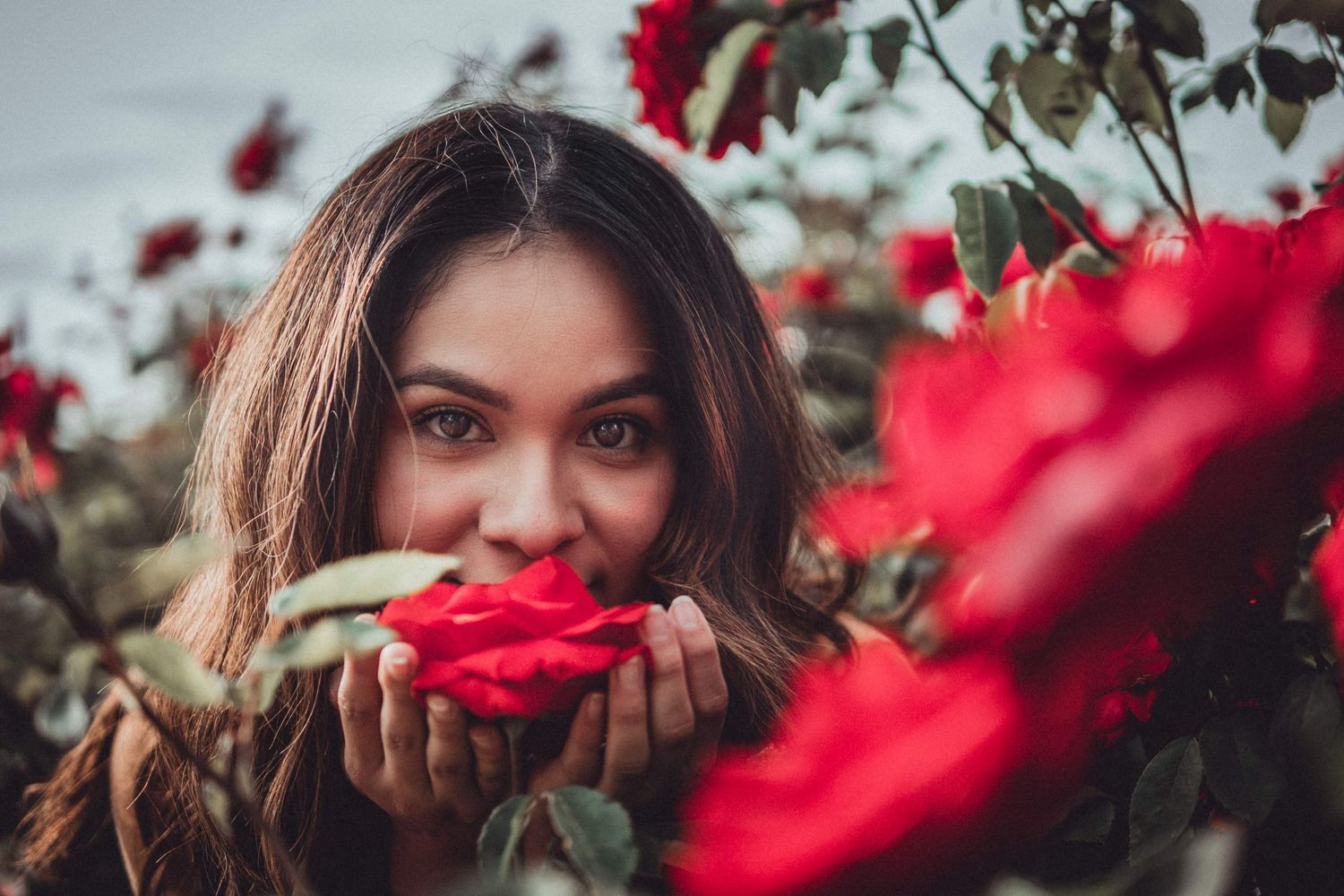 Close-up portrait of a woman holding vibrant red roses in a garden, soft focus florals and dreamy natural light highlighting her eyes