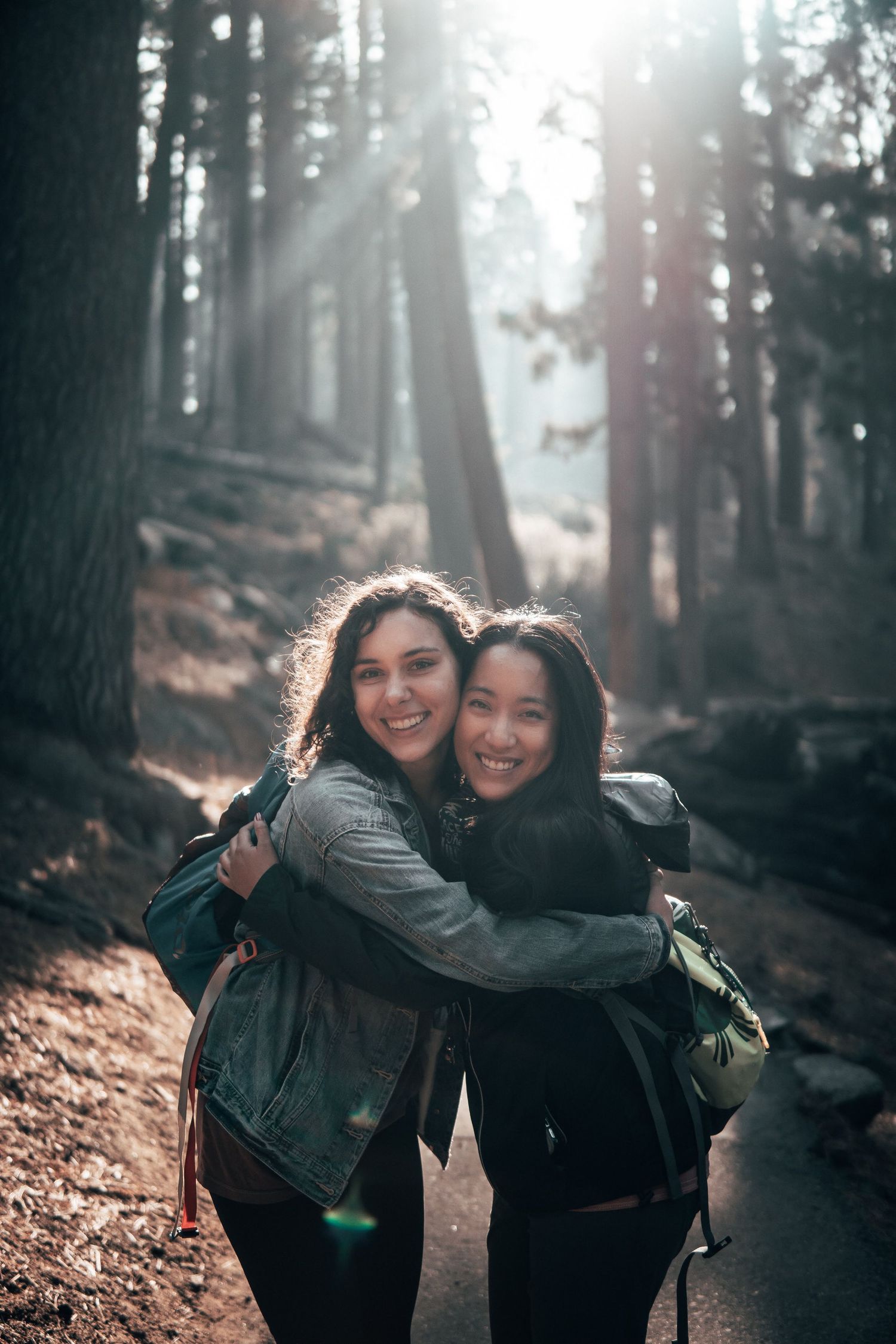 Best friends captured in the perfect lighting peeking behind the tall trees of Sequoia.
