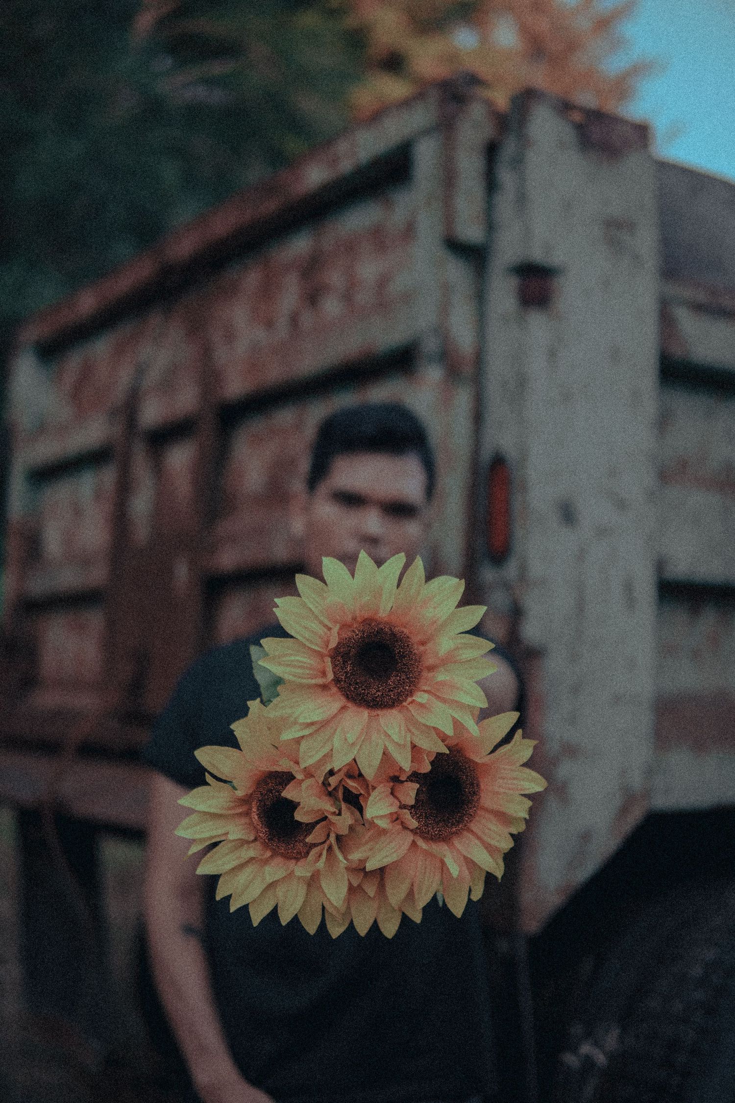 Bouquet of sunflowers held toward the camera with a man blurred in the background near a rusty truck