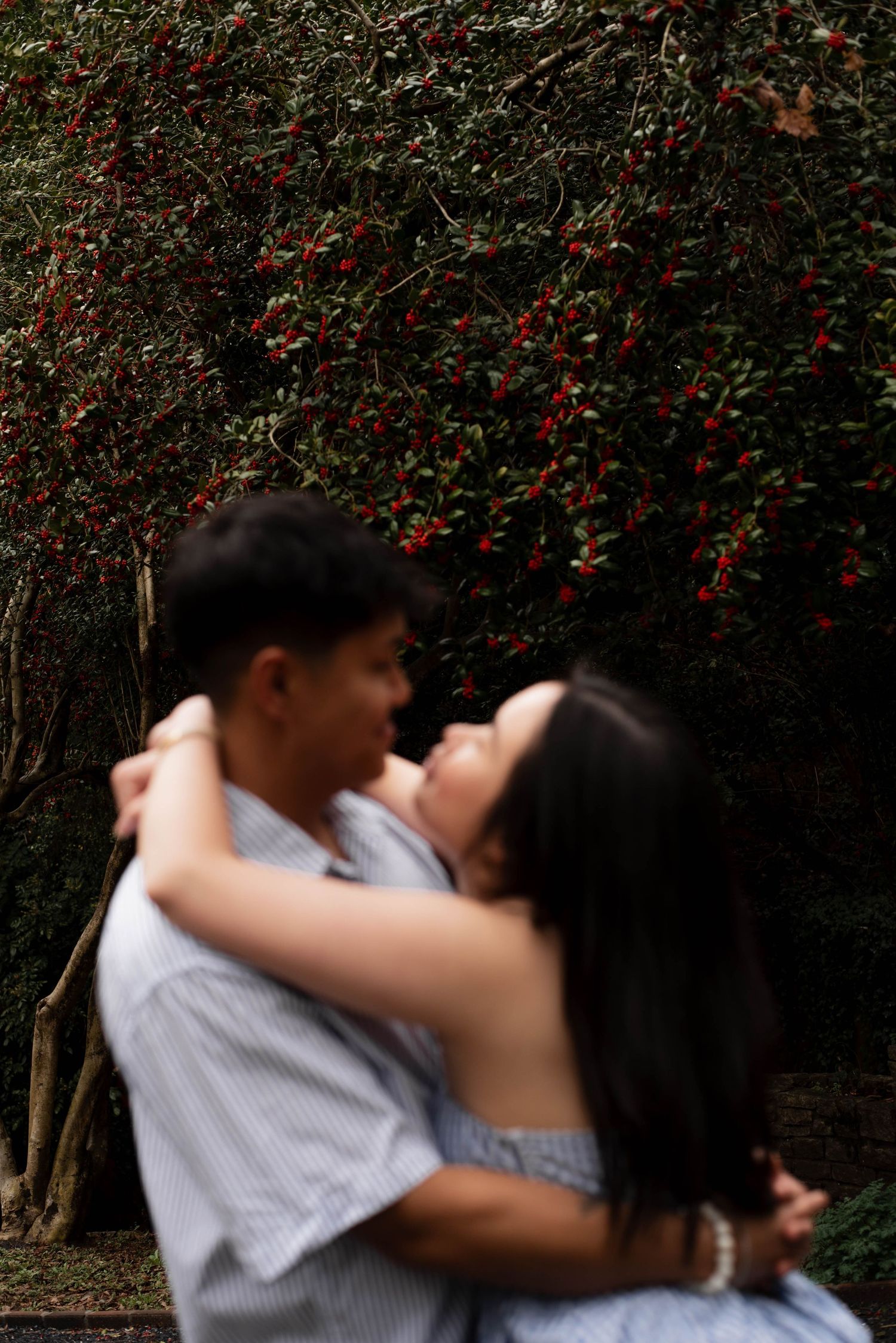 A romantic couple embraces in front of a dark hedge with red berries in a garden setting.