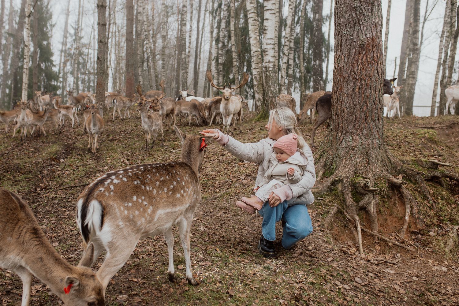 Natural family portrait of mother and daughter feeding deers together during an outdoor photography session in Kent.