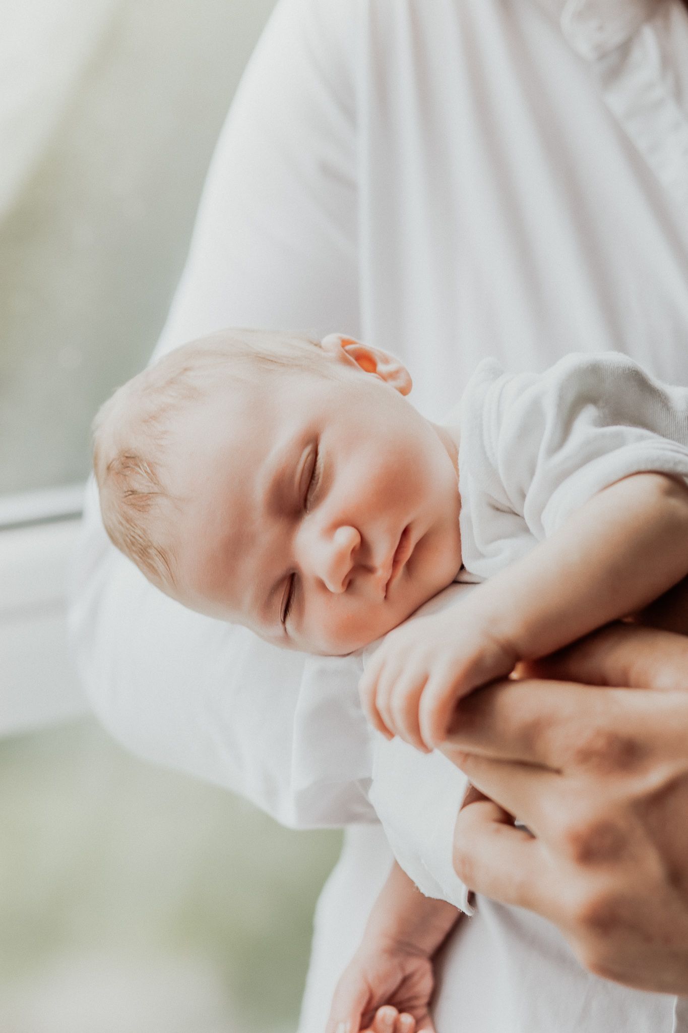 New born portrait