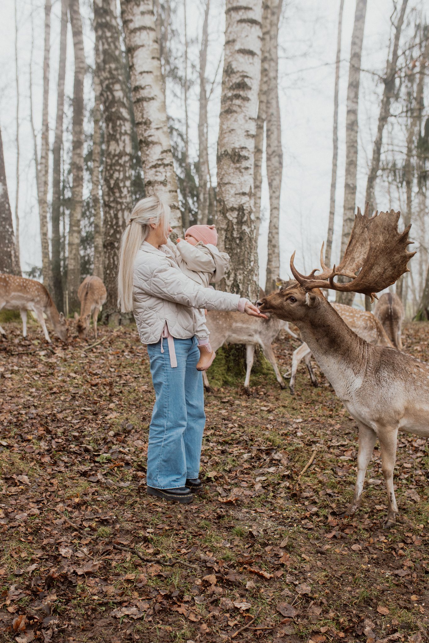 Natural family portrait of mother and daughter feeding deer together during an outdoor photography session in Kent.