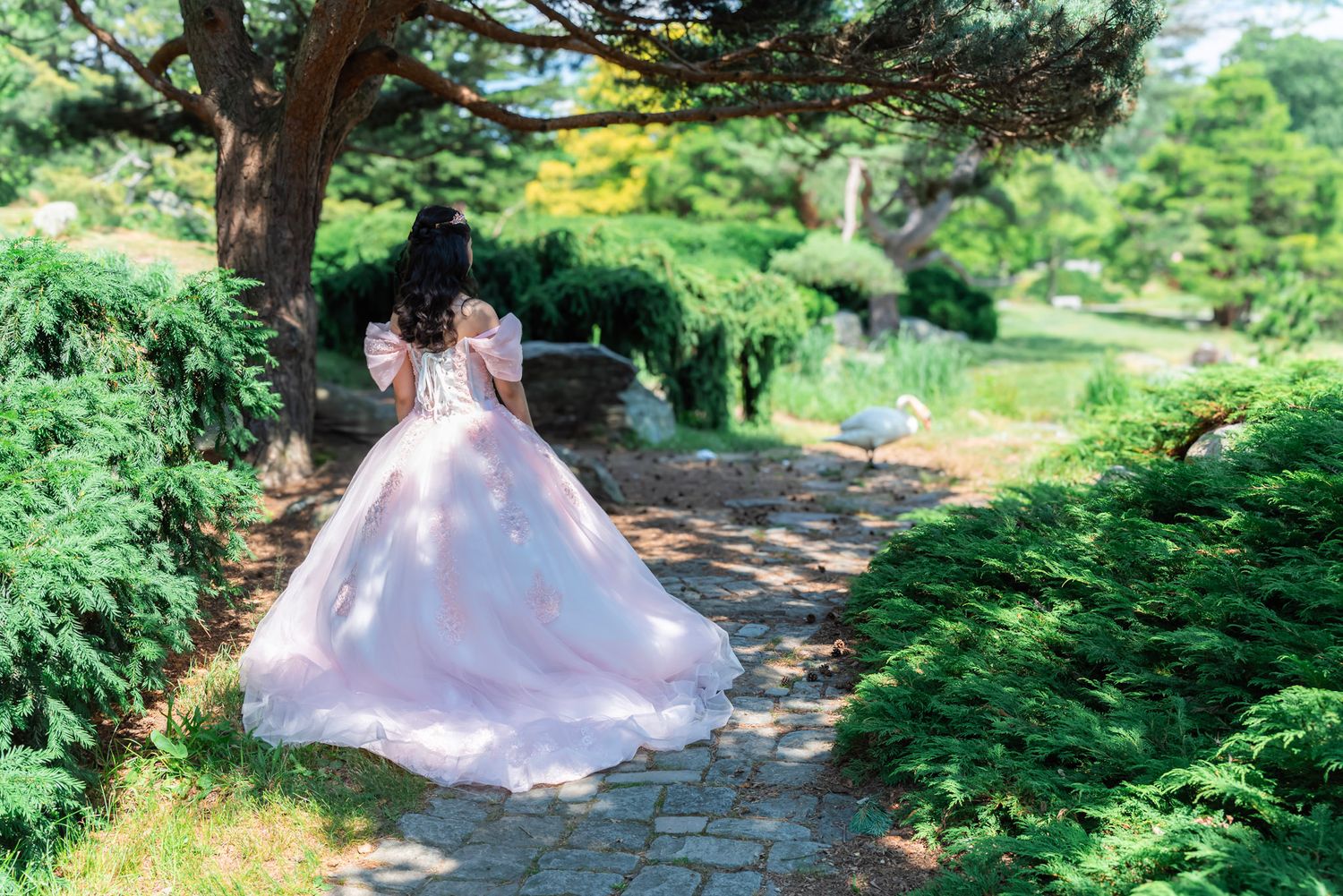 A light blue dress flows elegantly through a lush green garden pathway.