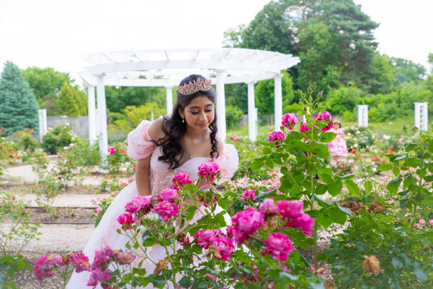 Quinceañera photoshoot in White pergola surrounded by blooming pink roses in lush garden setting.