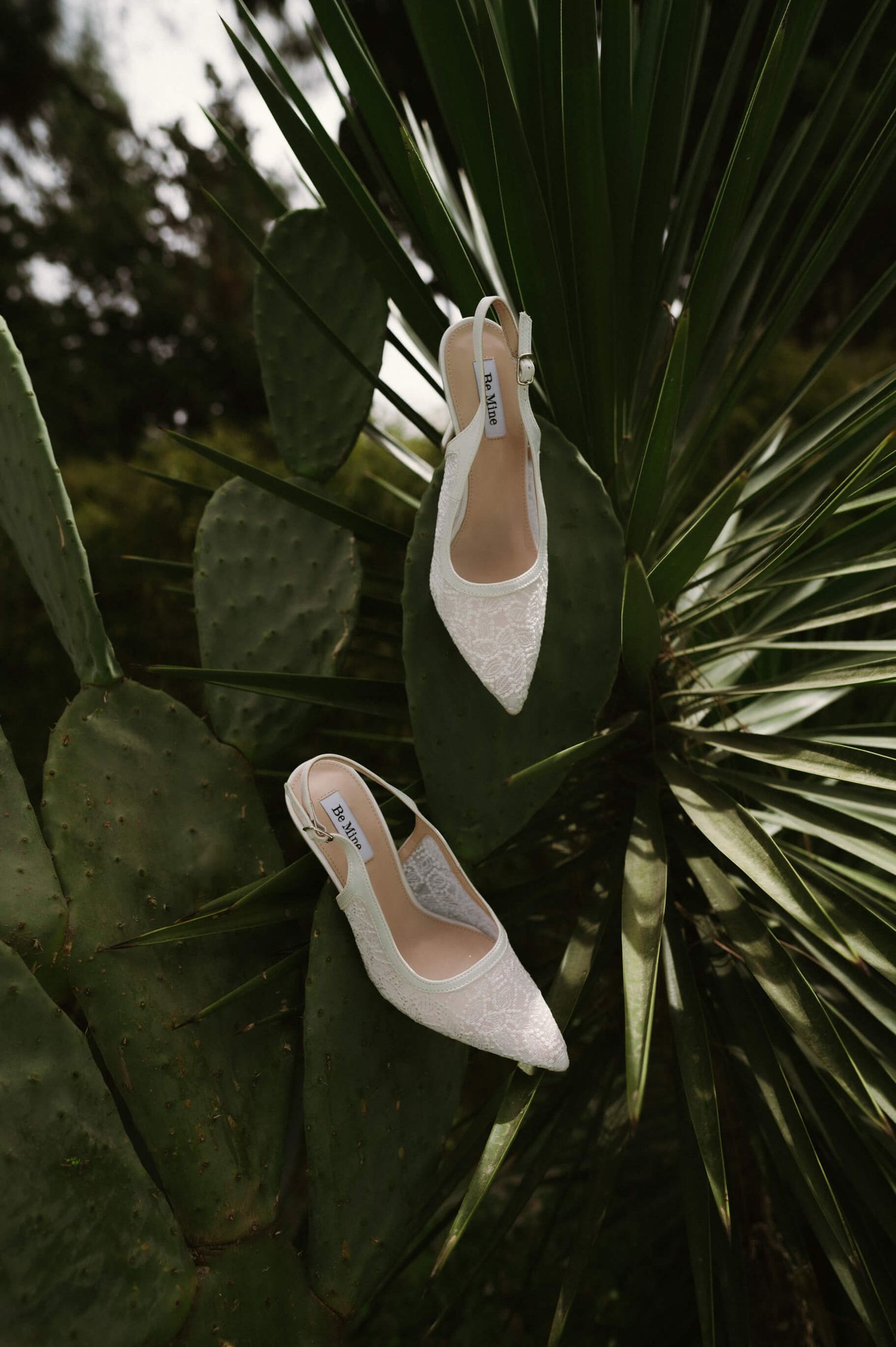 White bridal heels displayed artistically against tropical palm leaves.