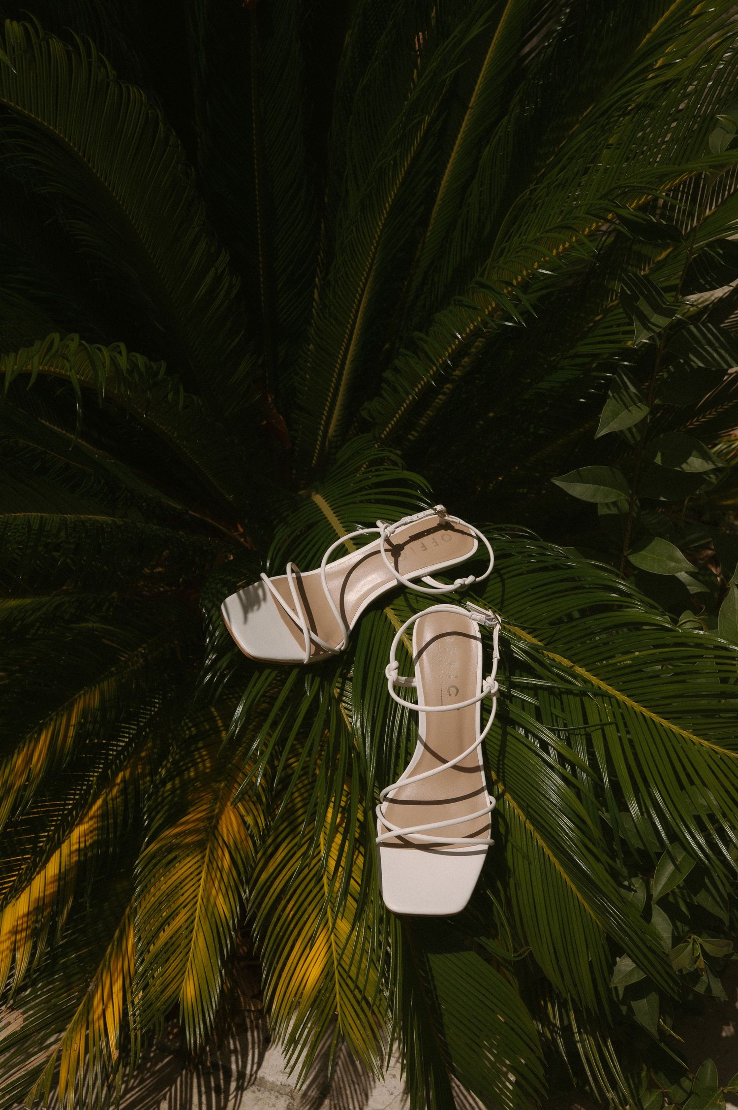 White high-heeled sandals displayed against lush tropical palm fronds in a creative fashion composition.