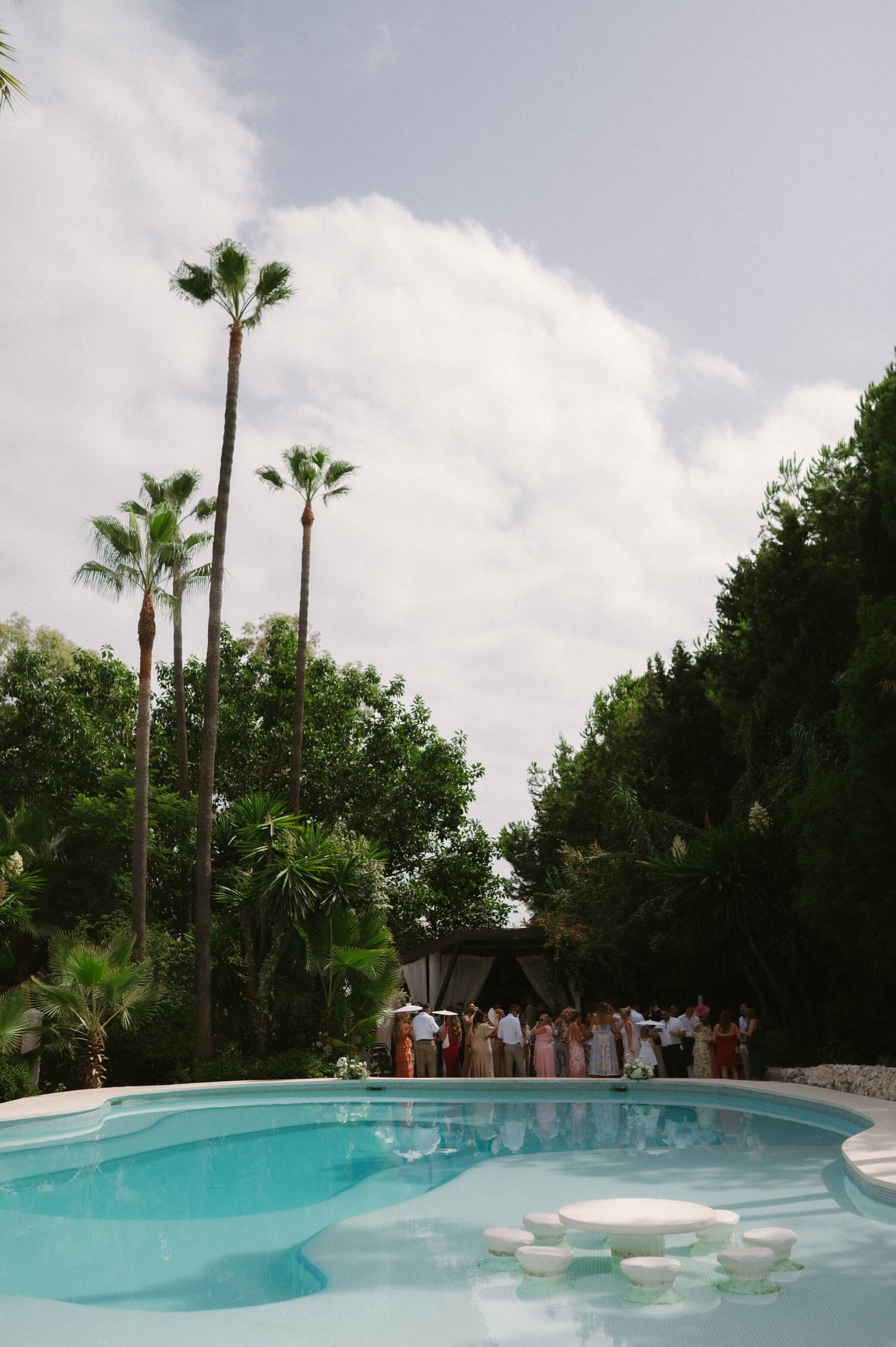 A modern curved swimming pool surrounded by palm trees and lush greenery.
