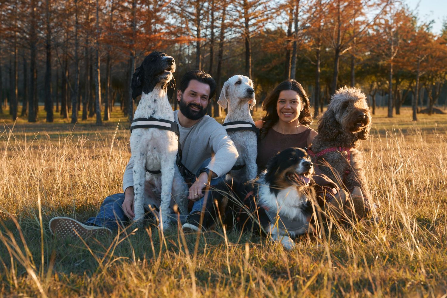 Family relaxing together in tall grass during autumn sunset photoshoot.