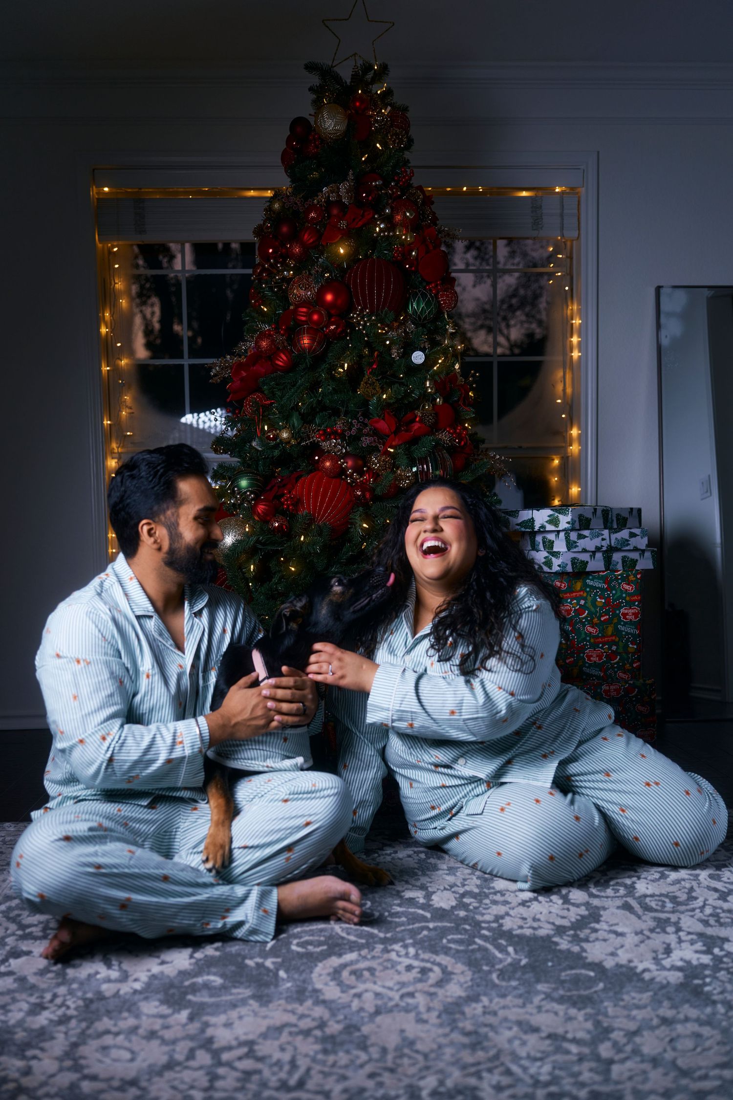 Playful holiday scene with Christmas tree and string lights in background.