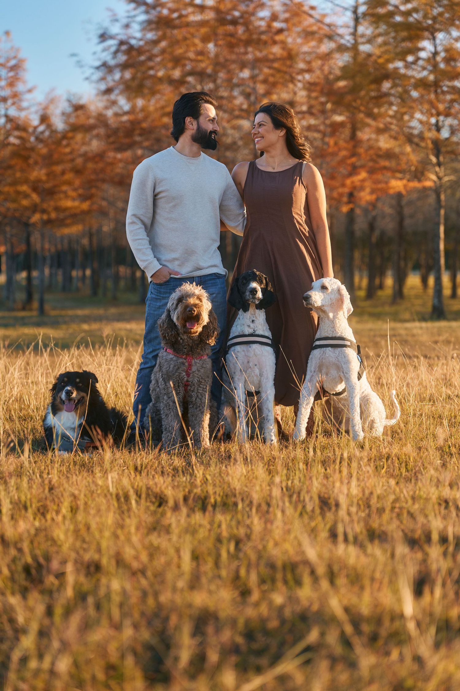 Happy couple poses with their five dogs in an autumn field during golden hour.