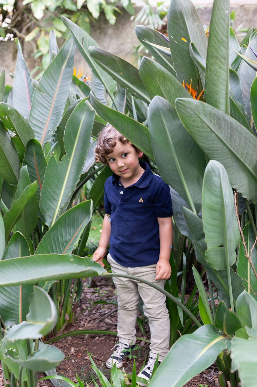 Walking through tropical plants and large green leaves in a garden setting.