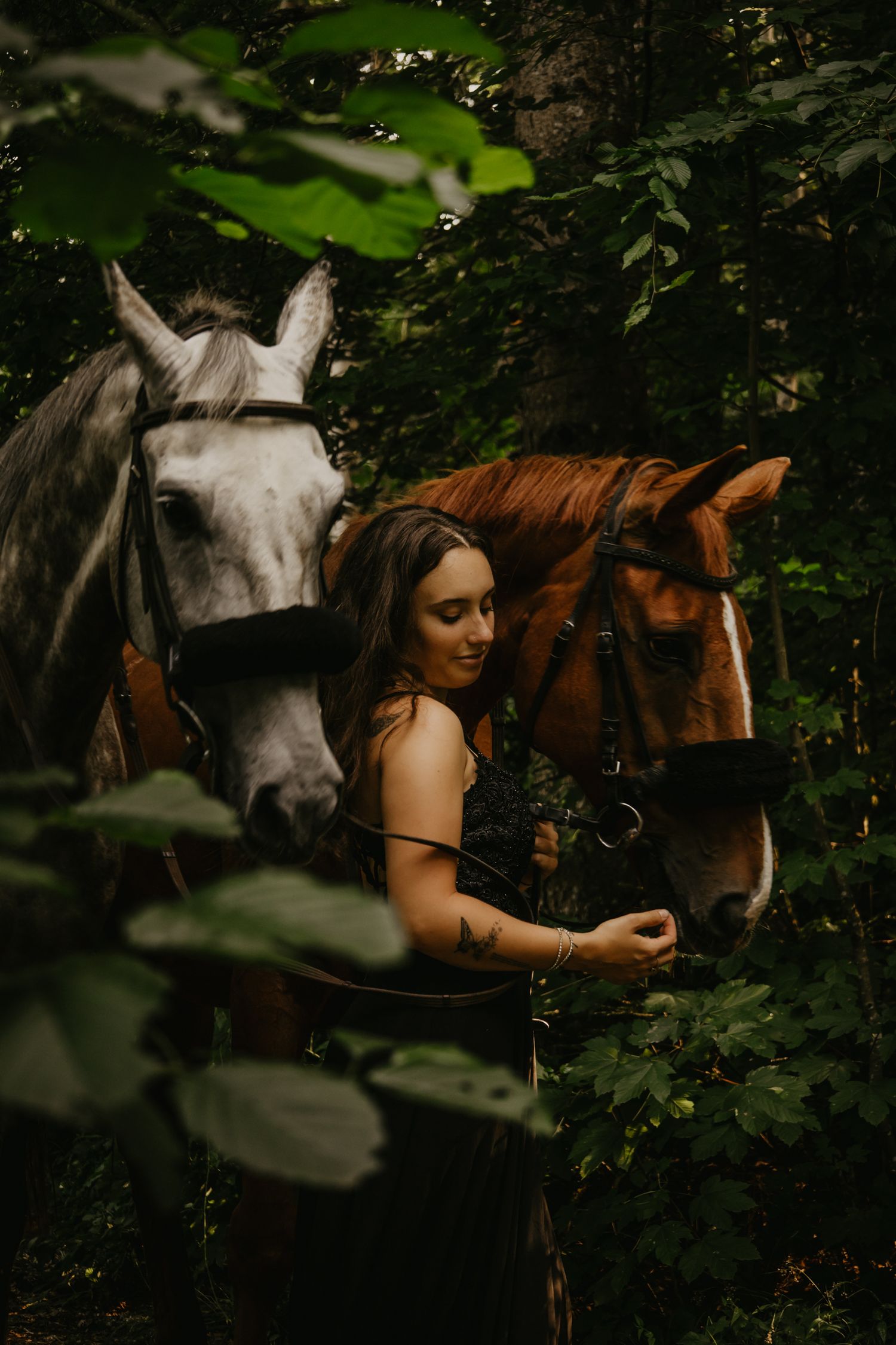 Horses gather in a lush green forest setting during summer.