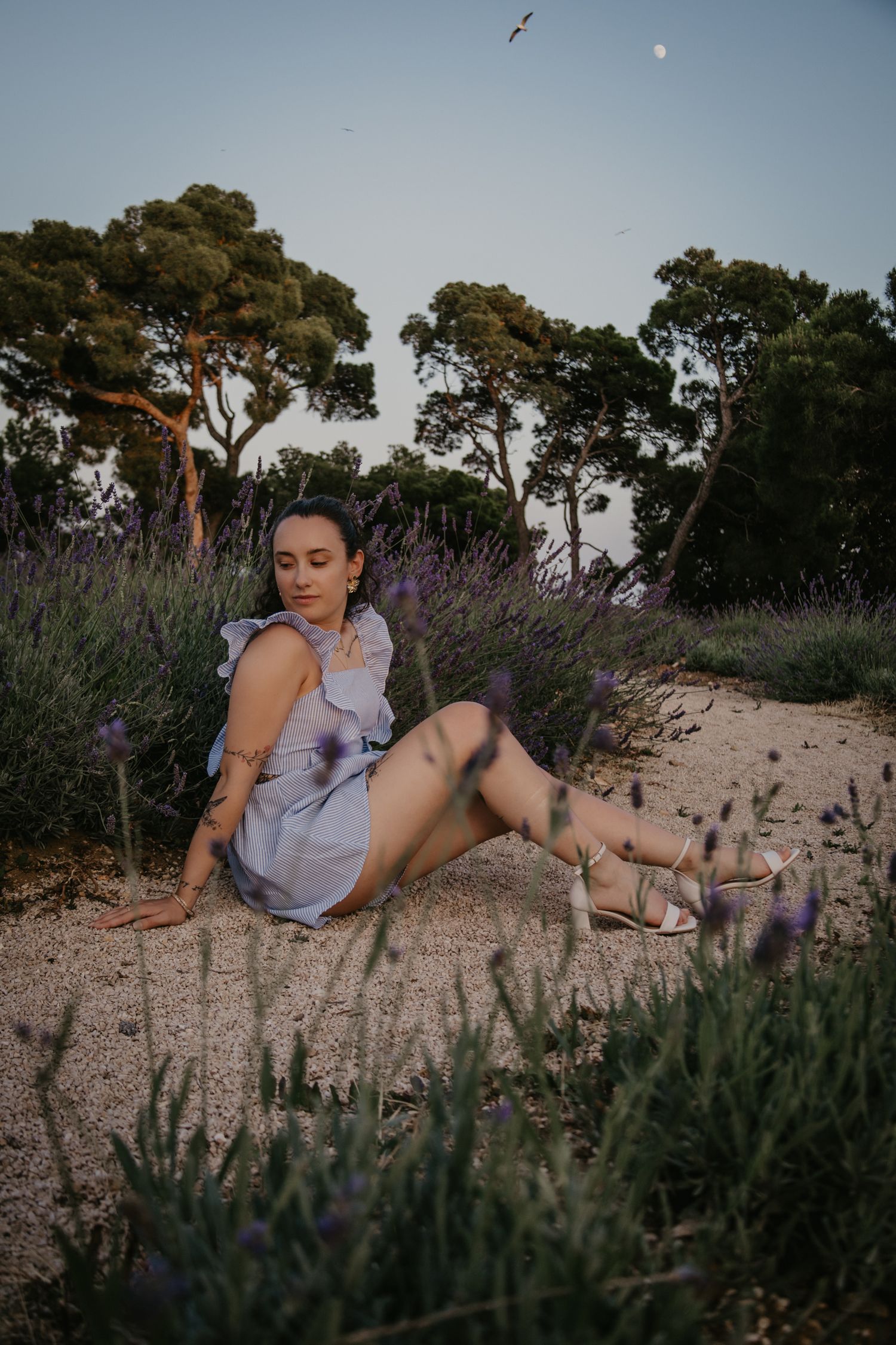 Casual outdoor poses in a lavender field with pine trees at dusk.