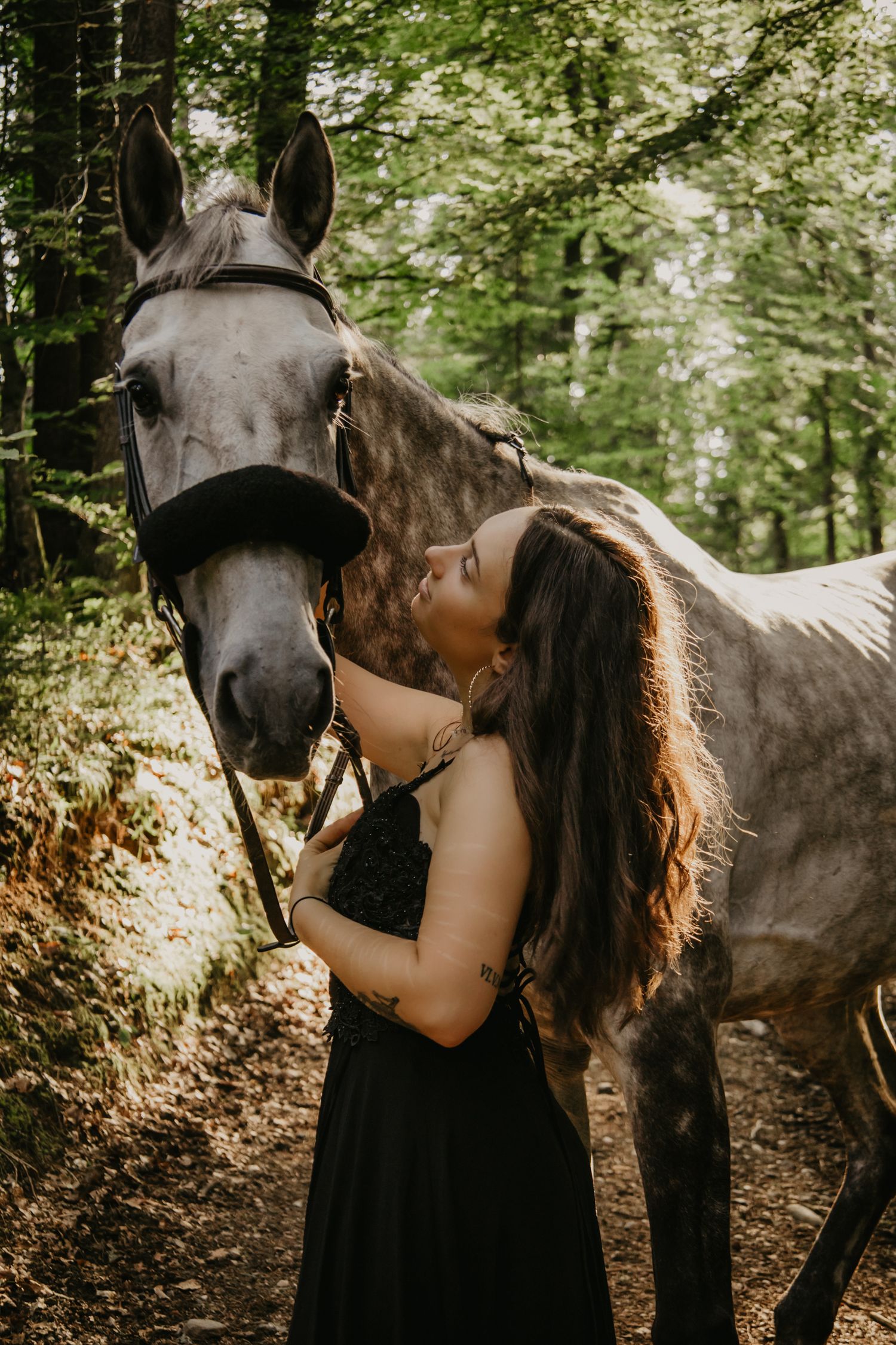 A woman in a black dress kisses a gray horse in a sunlit forest setting.